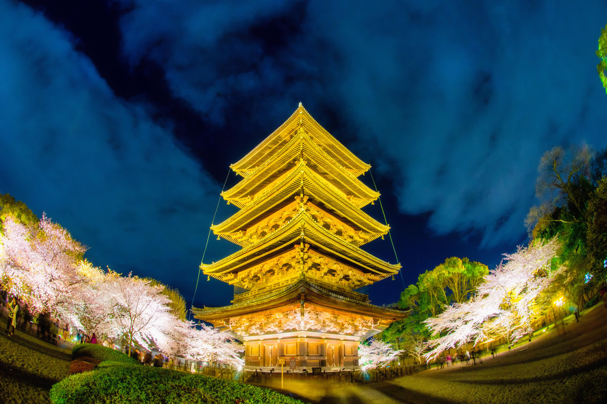 Sony a99 II + Sony 16mm F2.8 Fisheye sample photo. 黄金の五重塔　- gold five-story pagoda - photography