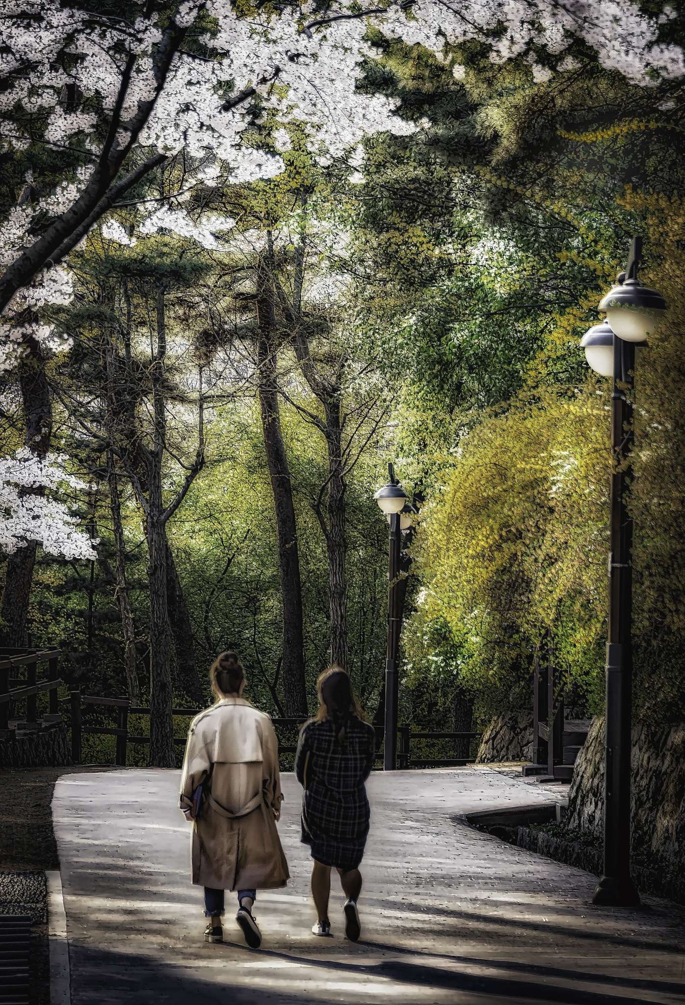 Nikon D4 sample photo. Seoul cherry blossoms photography