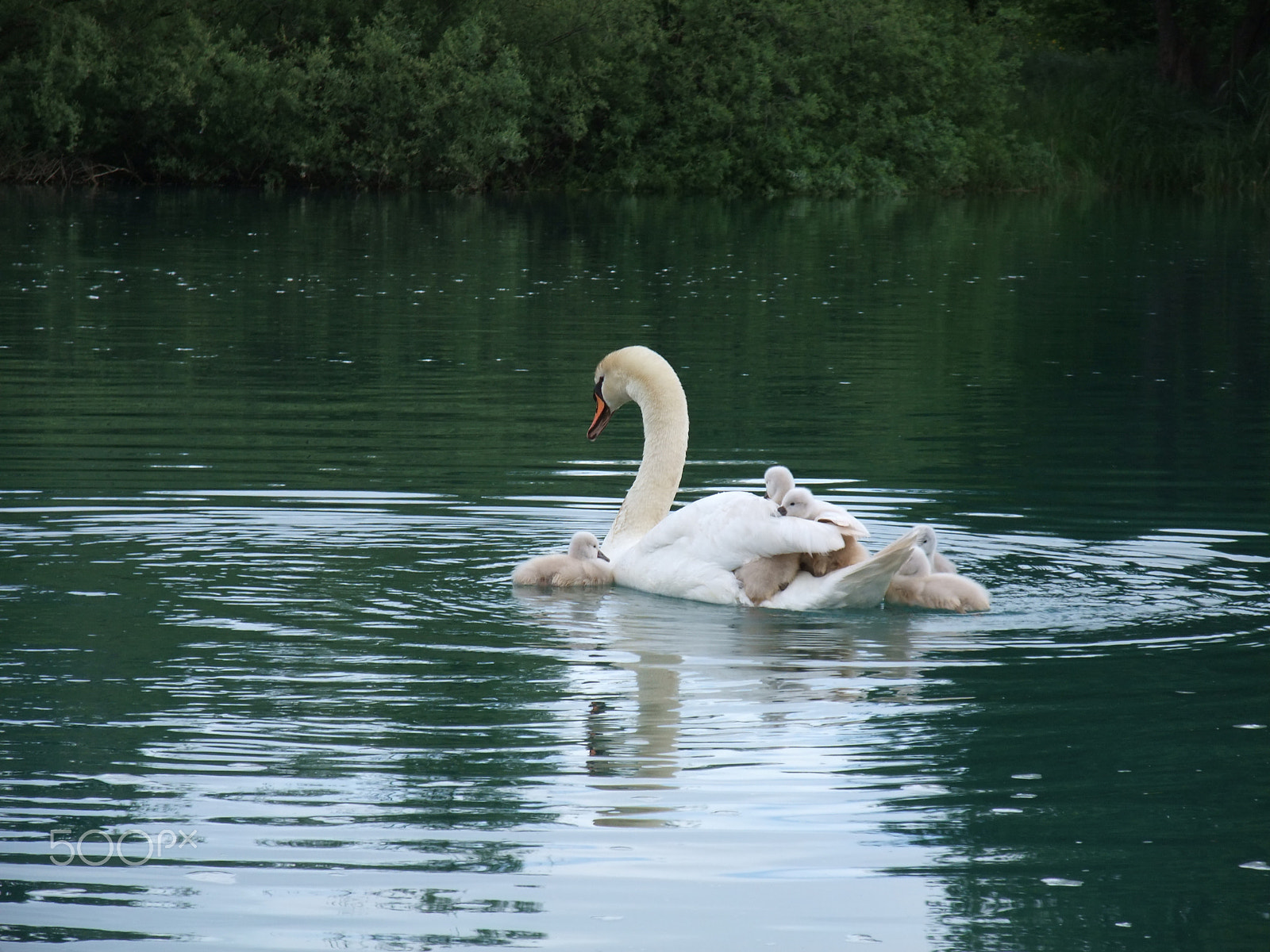 Fujifilm FinePix F200EXR sample photo. Mrežnica, croatia photography