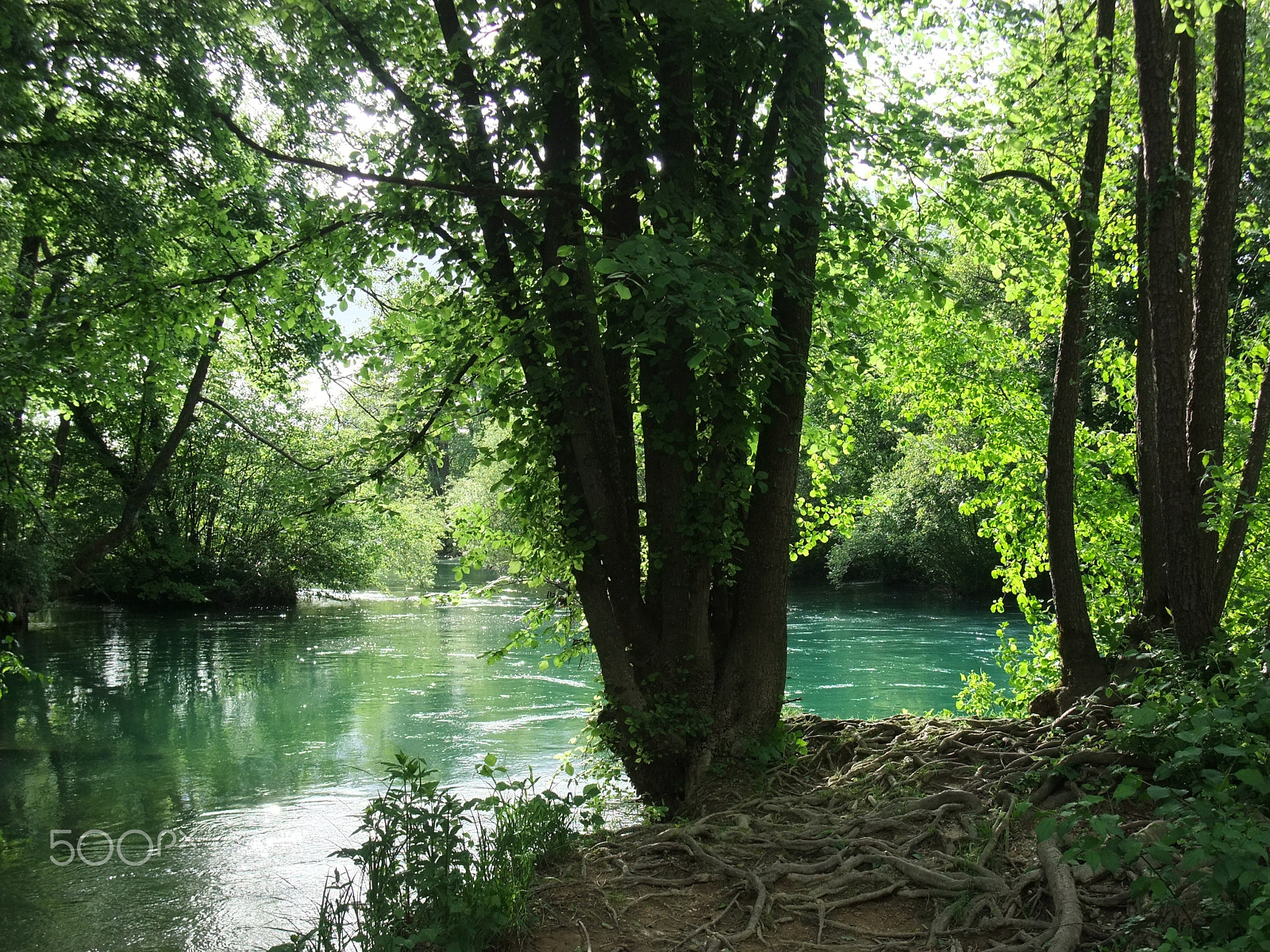 Fujifilm FinePix F200EXR sample photo. Mrežnica, croatia photography