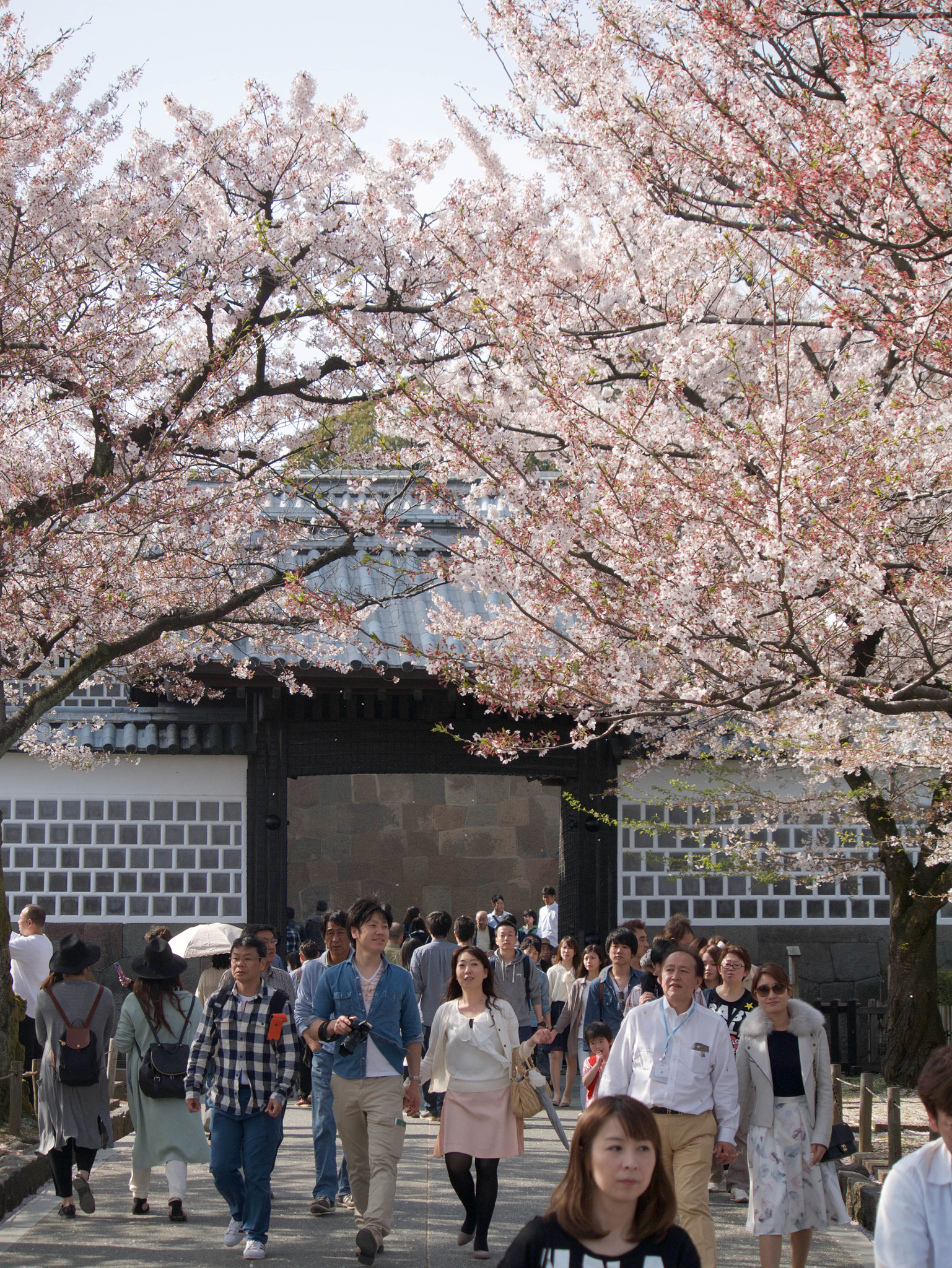 Panasonic Lumix DMC-GX7 sample photo. Flower gate photography