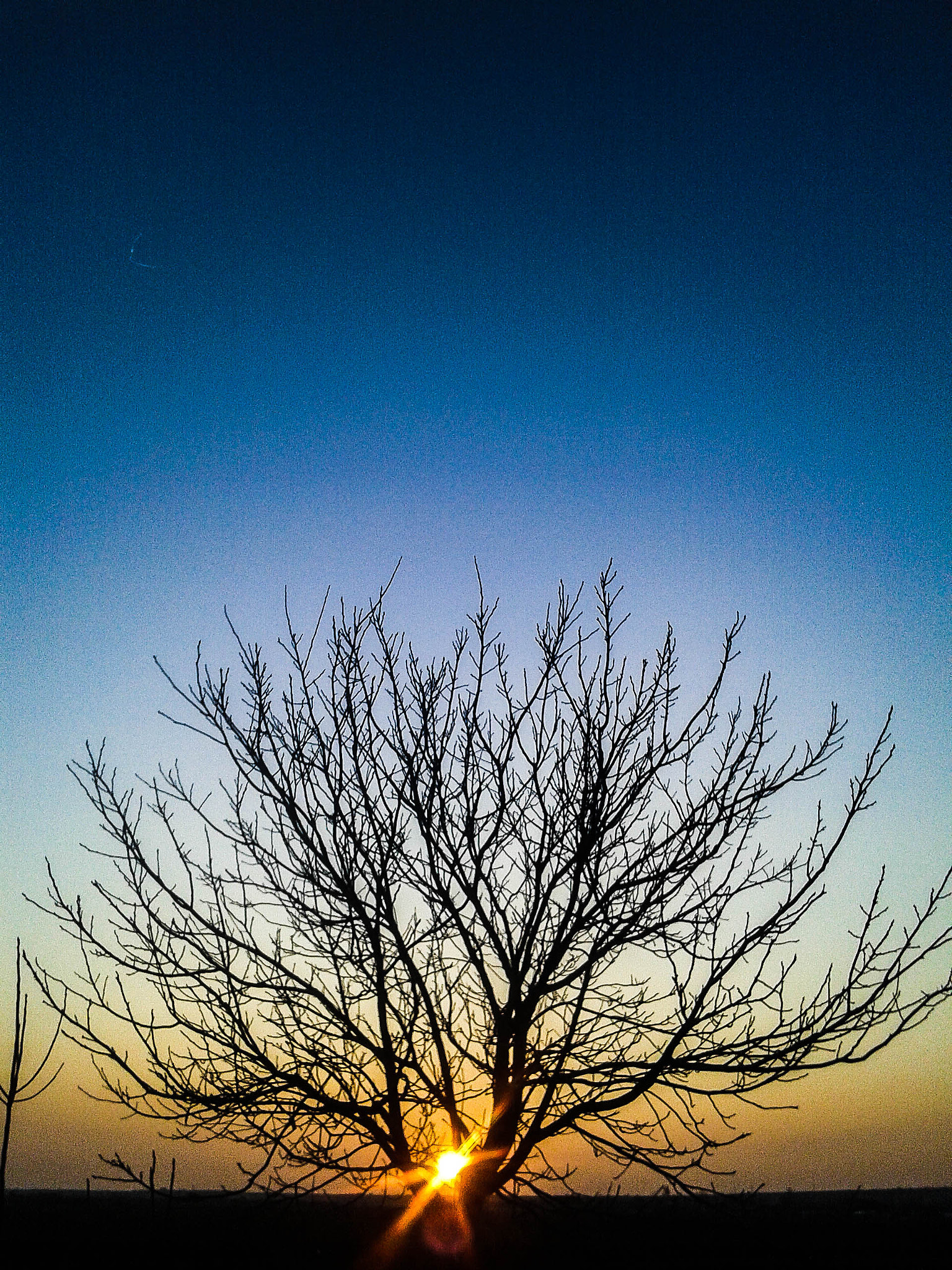 Samsung Galaxy Core Plus sample photo. 20160320_180828.jpg photography