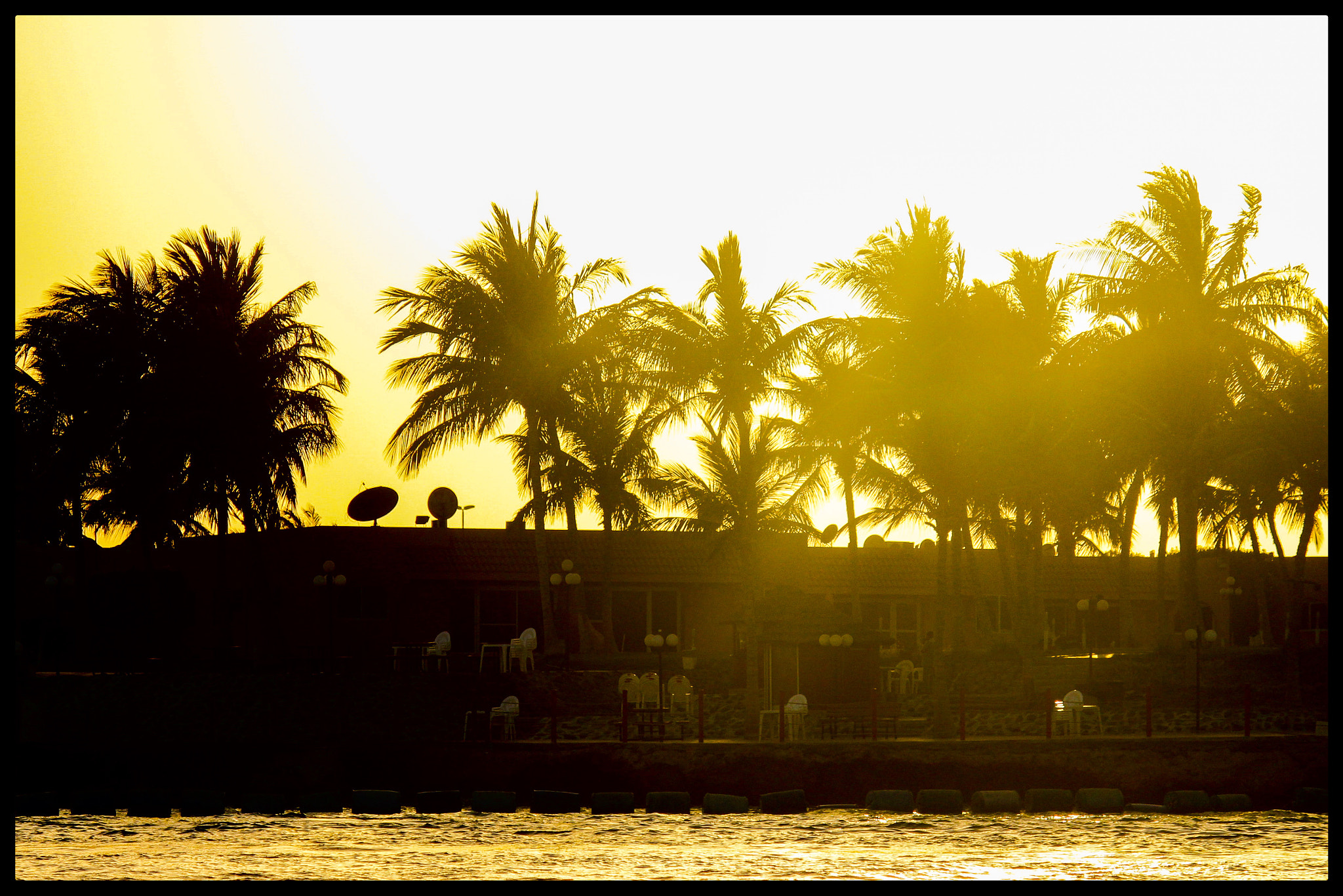 Canon EF-S 55-250mm F4-5.6 IS II sample photo. Palms lines photography