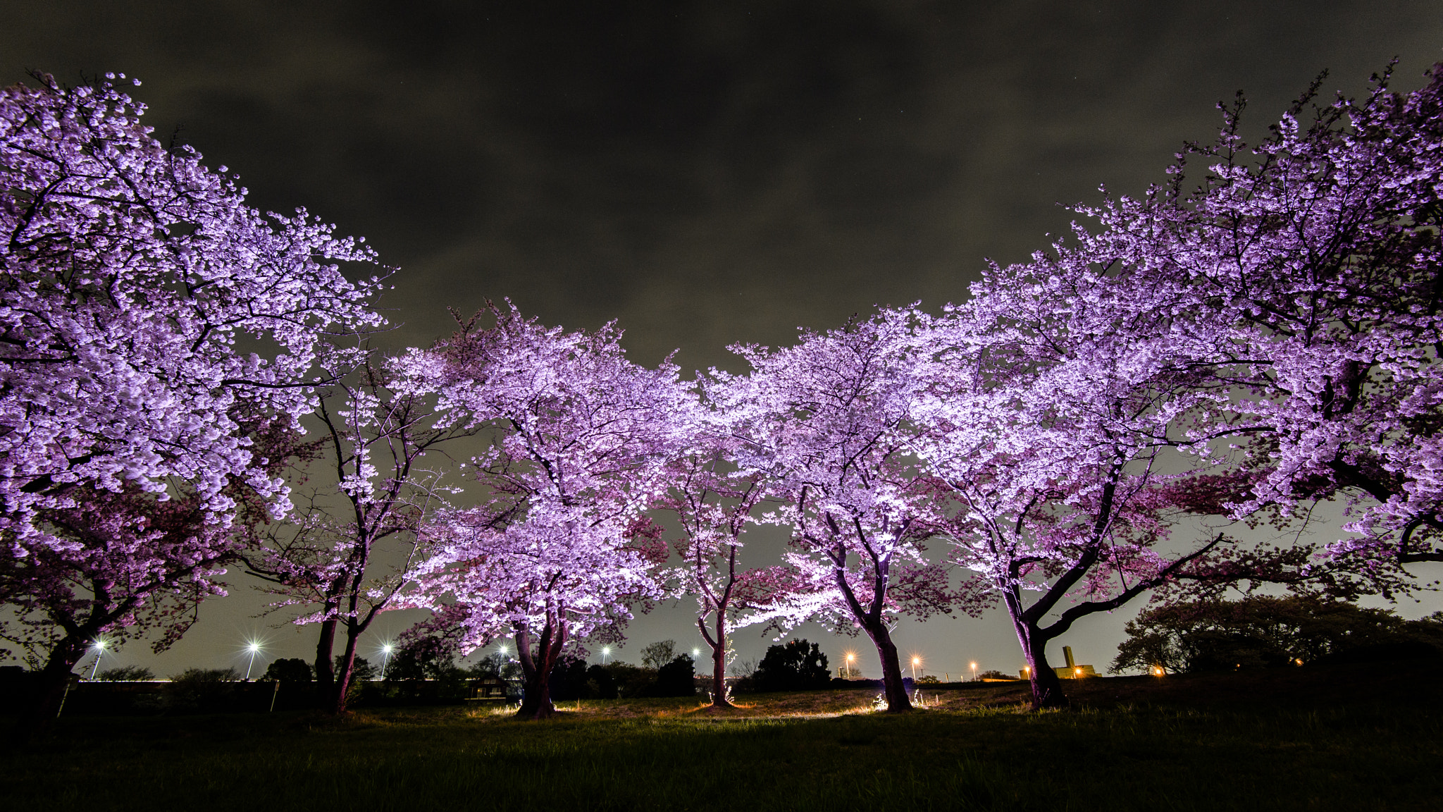 Nikon D5 sample photo. A suspicious night photography