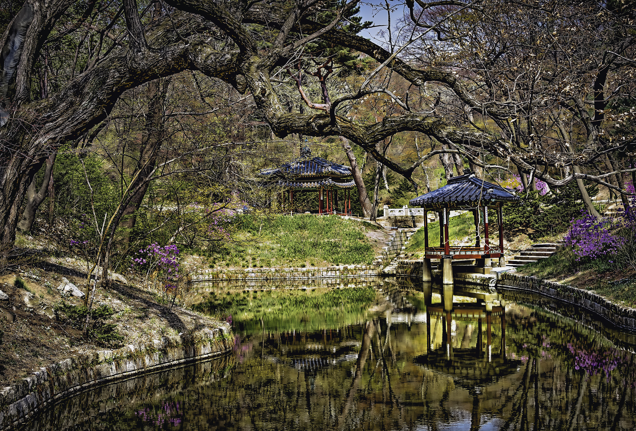 Nikon D4 sample photo. Changdeok gung gwallamji aurorahdr photography
