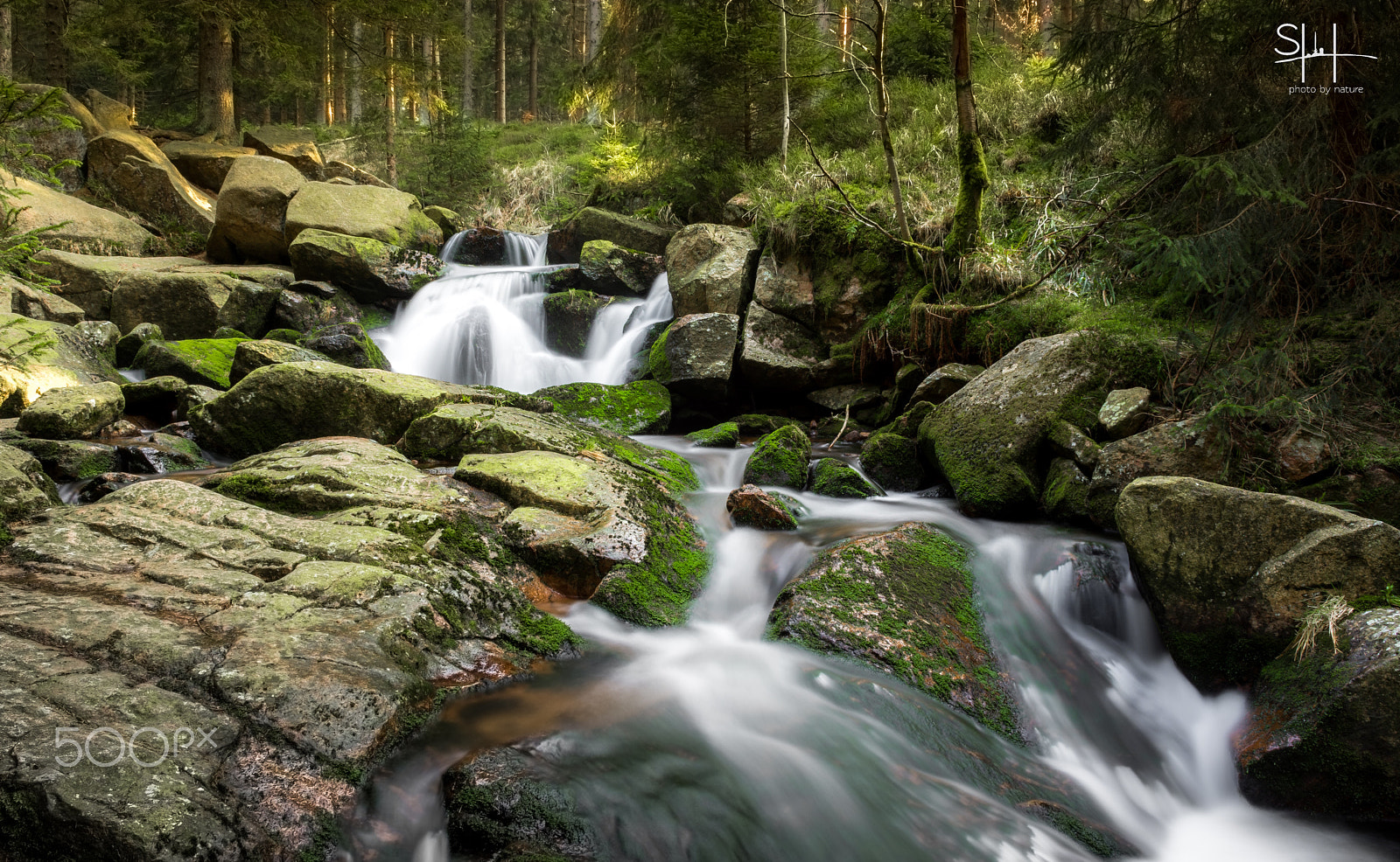 Sigma 18-50mm F2.8-4.5 DC OS HSM sample photo. Harzwater photography