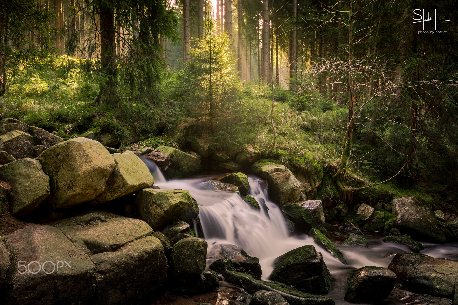 Sigma 18-50mm F2.8-4.5 DC OS HSM sample photo. Forest and water photography