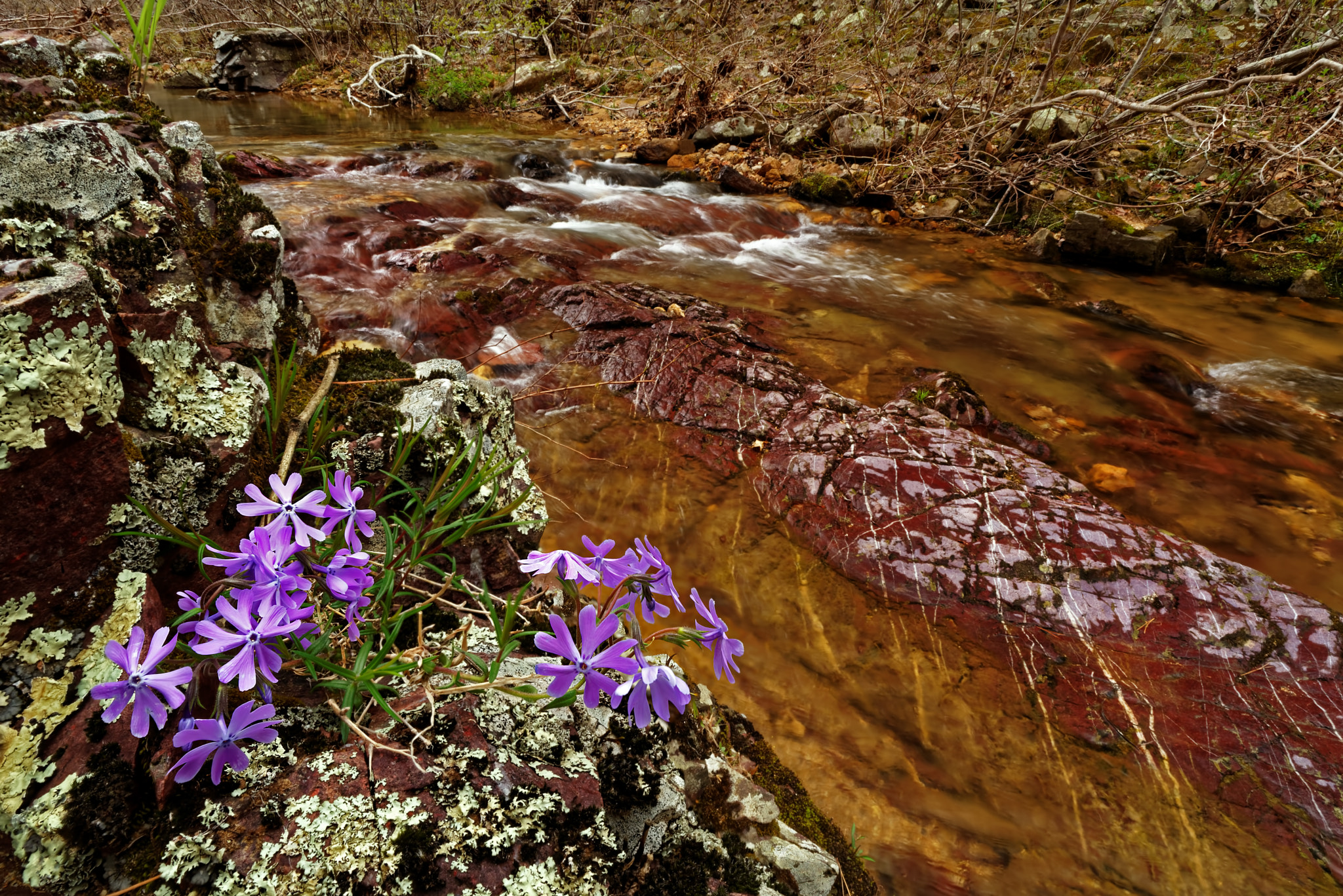 Nikon D600 + Nikon AF Nikkor 20mm F2.8D sample photo. Shut-in creek photography