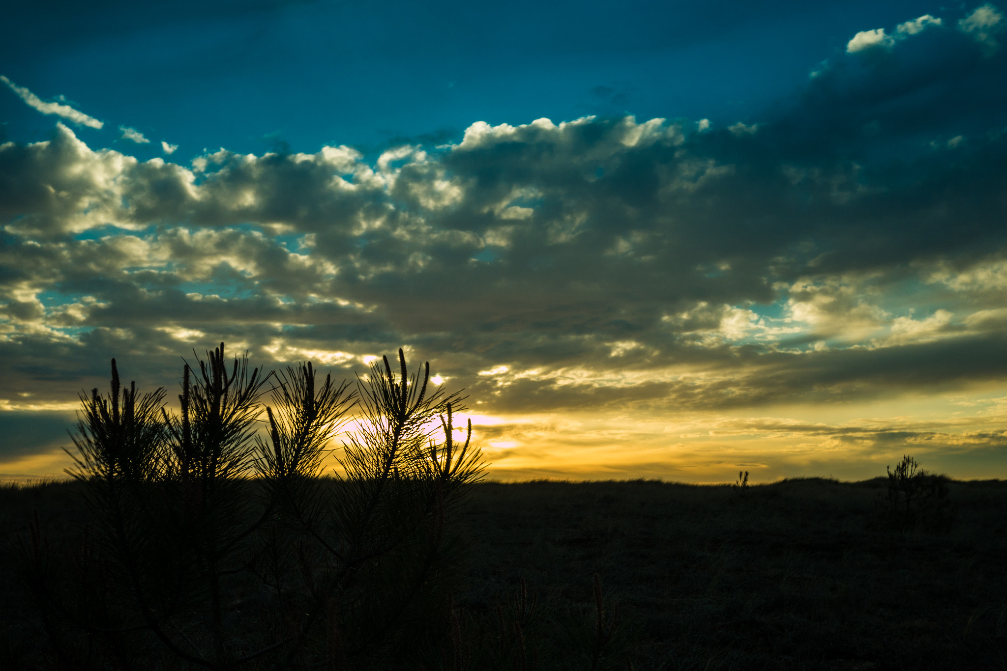 Panasonic Lumix DMC-G7 + LUMIX G 20/F1.7 II sample photo. Sunset colors photography