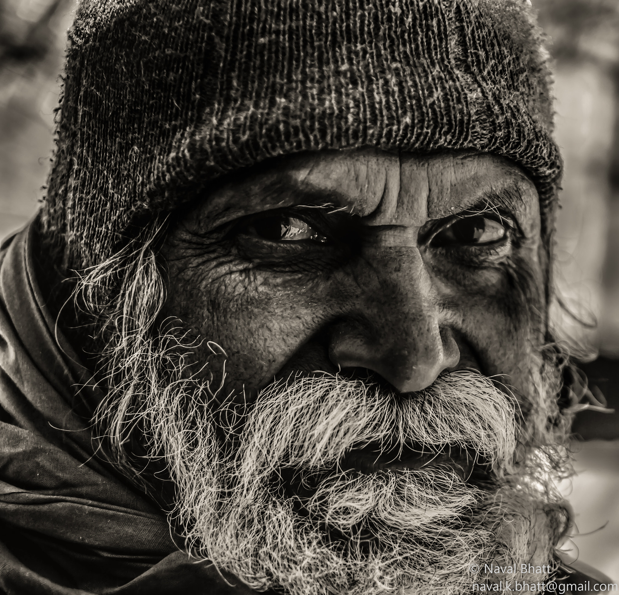 Nikon D200 sample photo. The wandering hermit photography