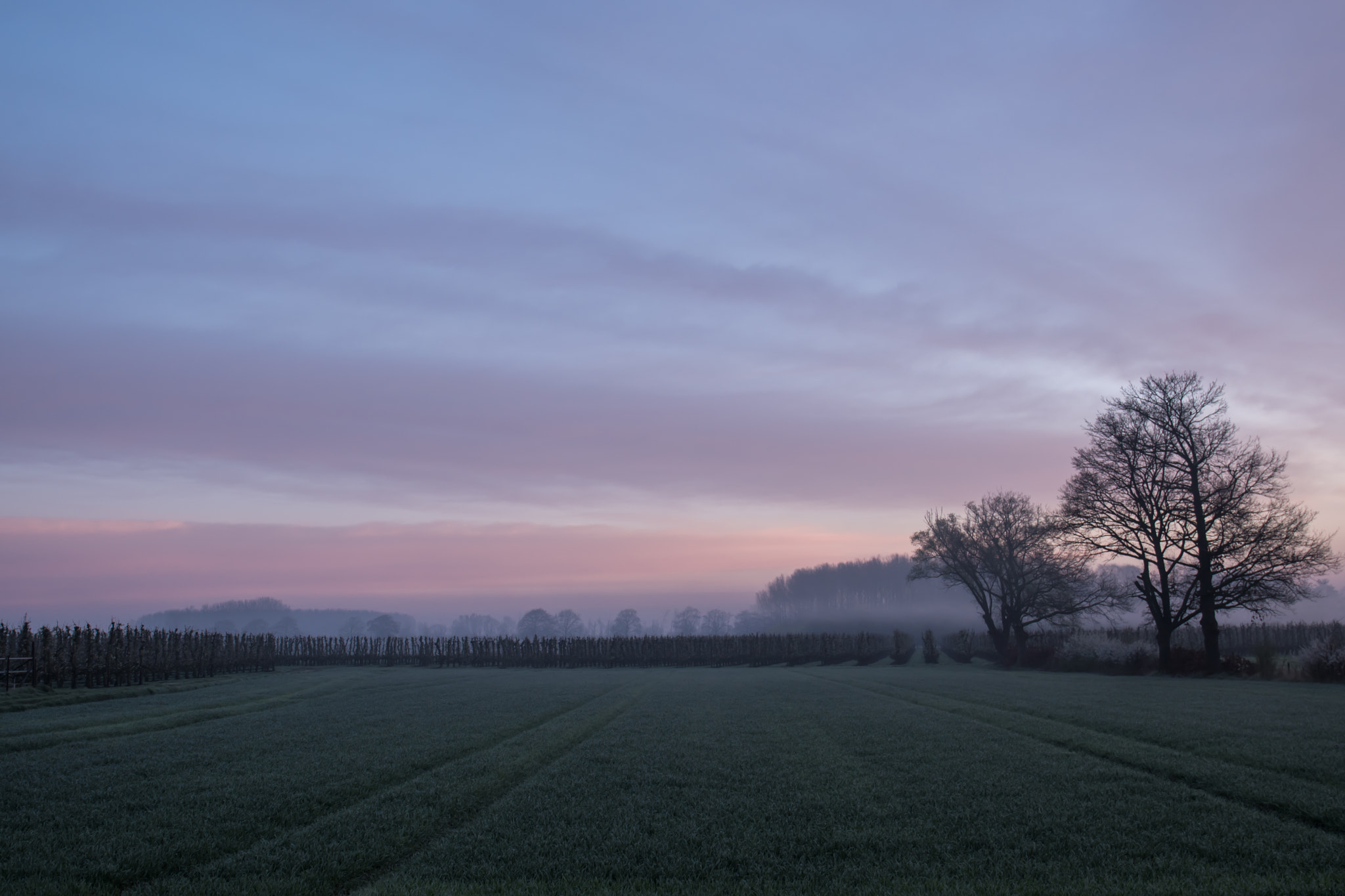 Sony a6300 + Canon EF 24-70mm F4L IS USM sample photo. Foggy distance photography