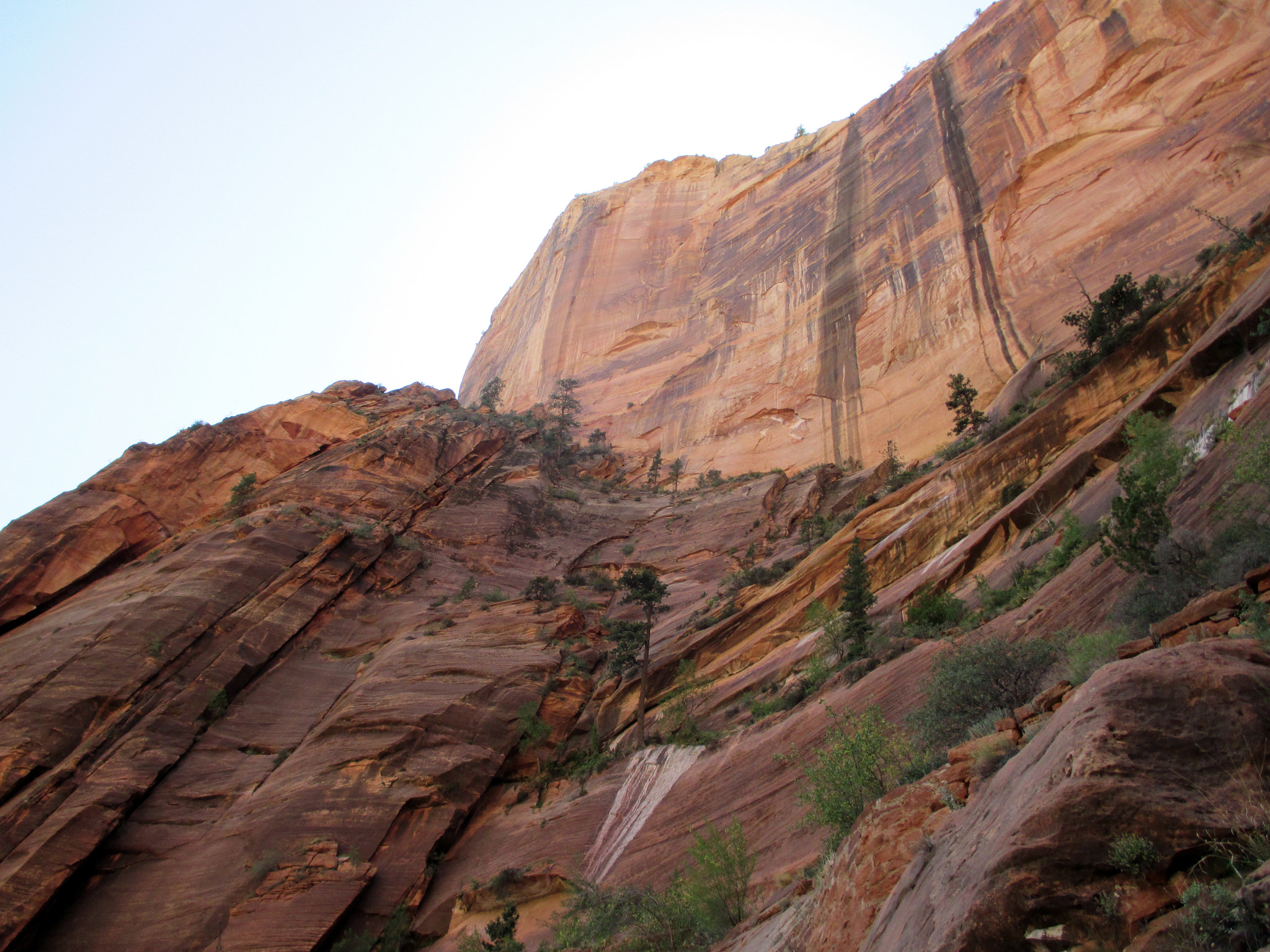 Canon PowerShot ELPH 130 IS (IXUS 140 / IXY 110F) sample photo. Zion national park canyon walls photography