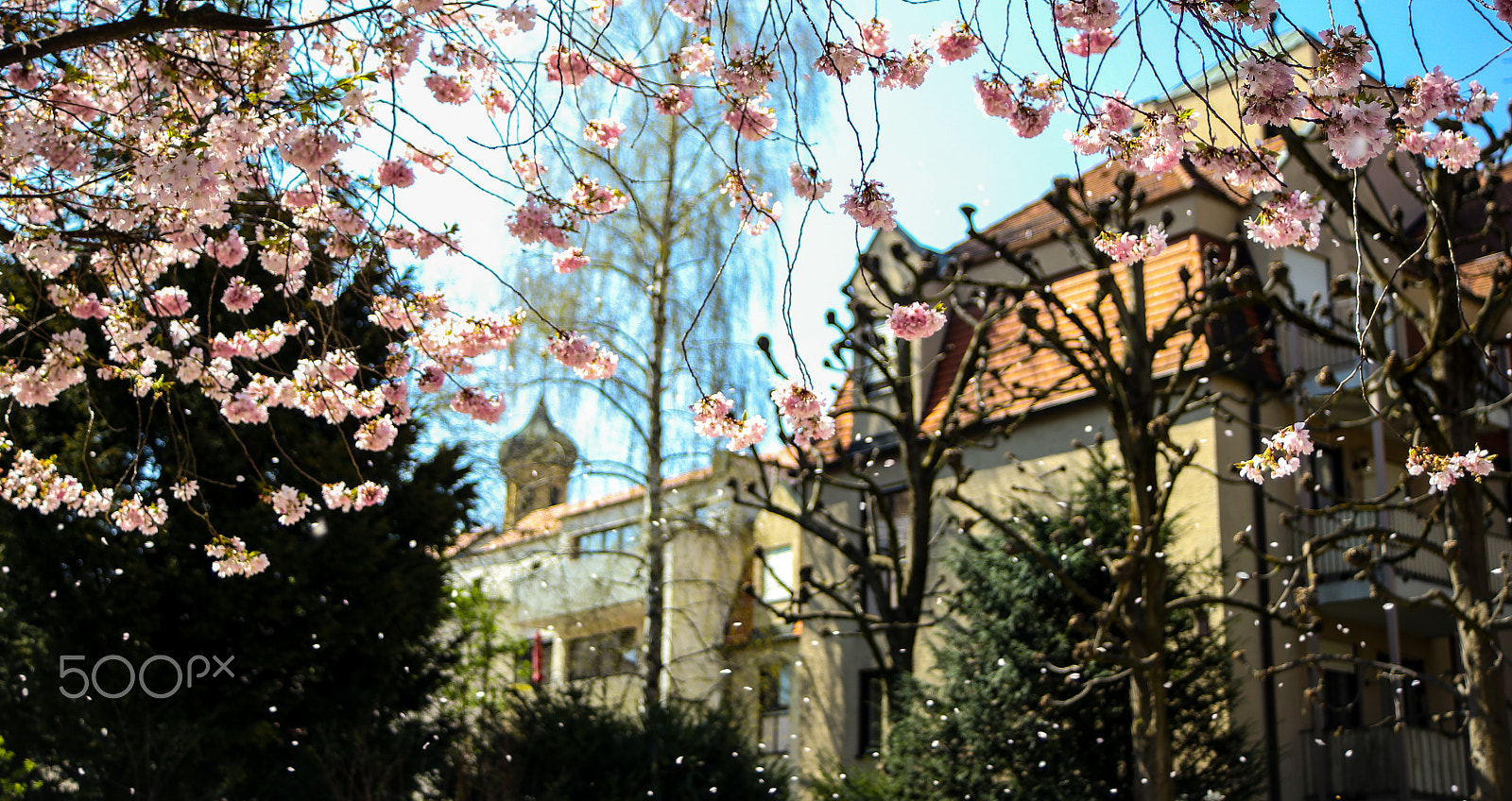 Canon EF 35-70mm f/3.5-4.5A sample photo. Augsburg cherry blossom photography