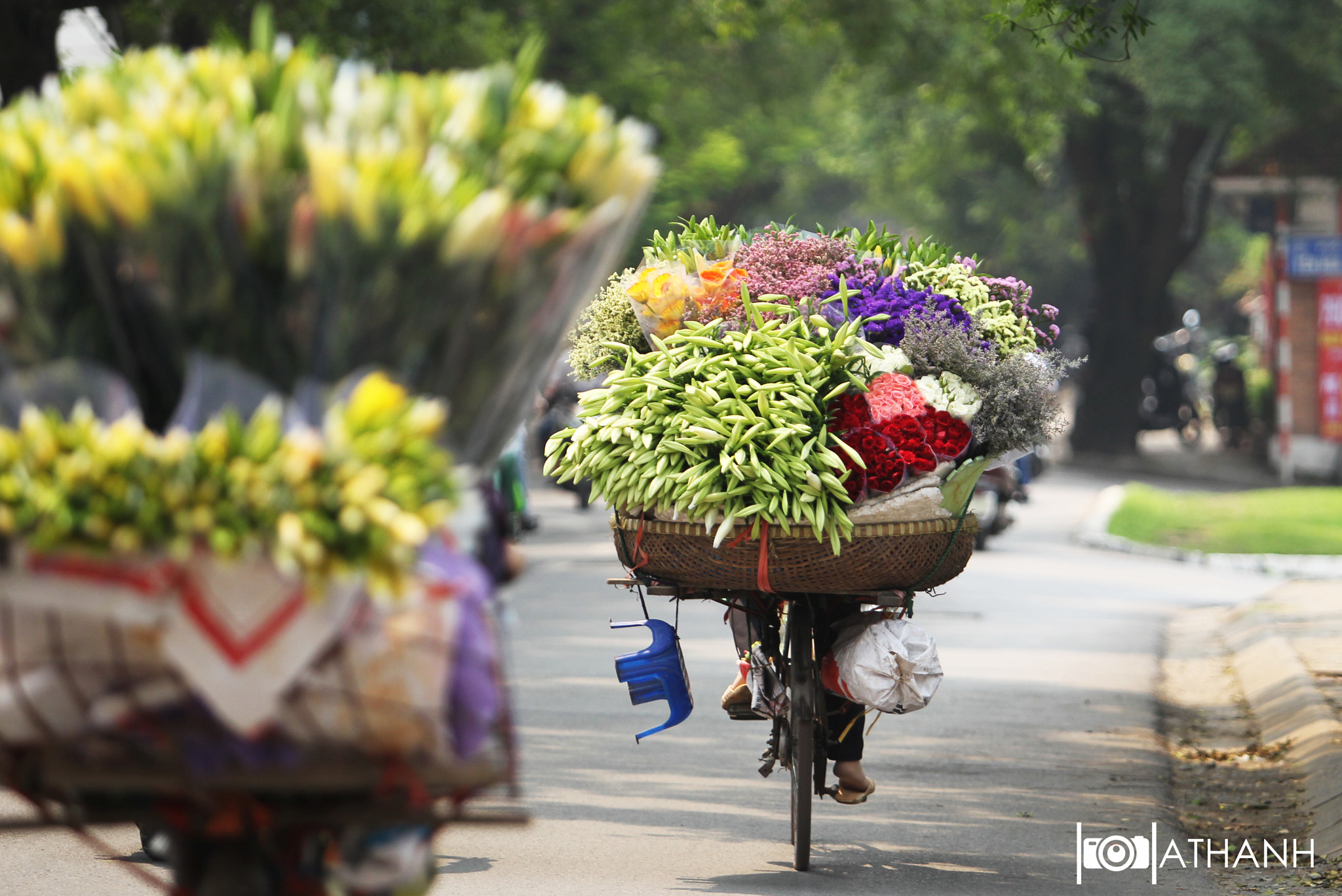 Canon EOS-1D Mark IV sample photo. Lilium longiflorum photography