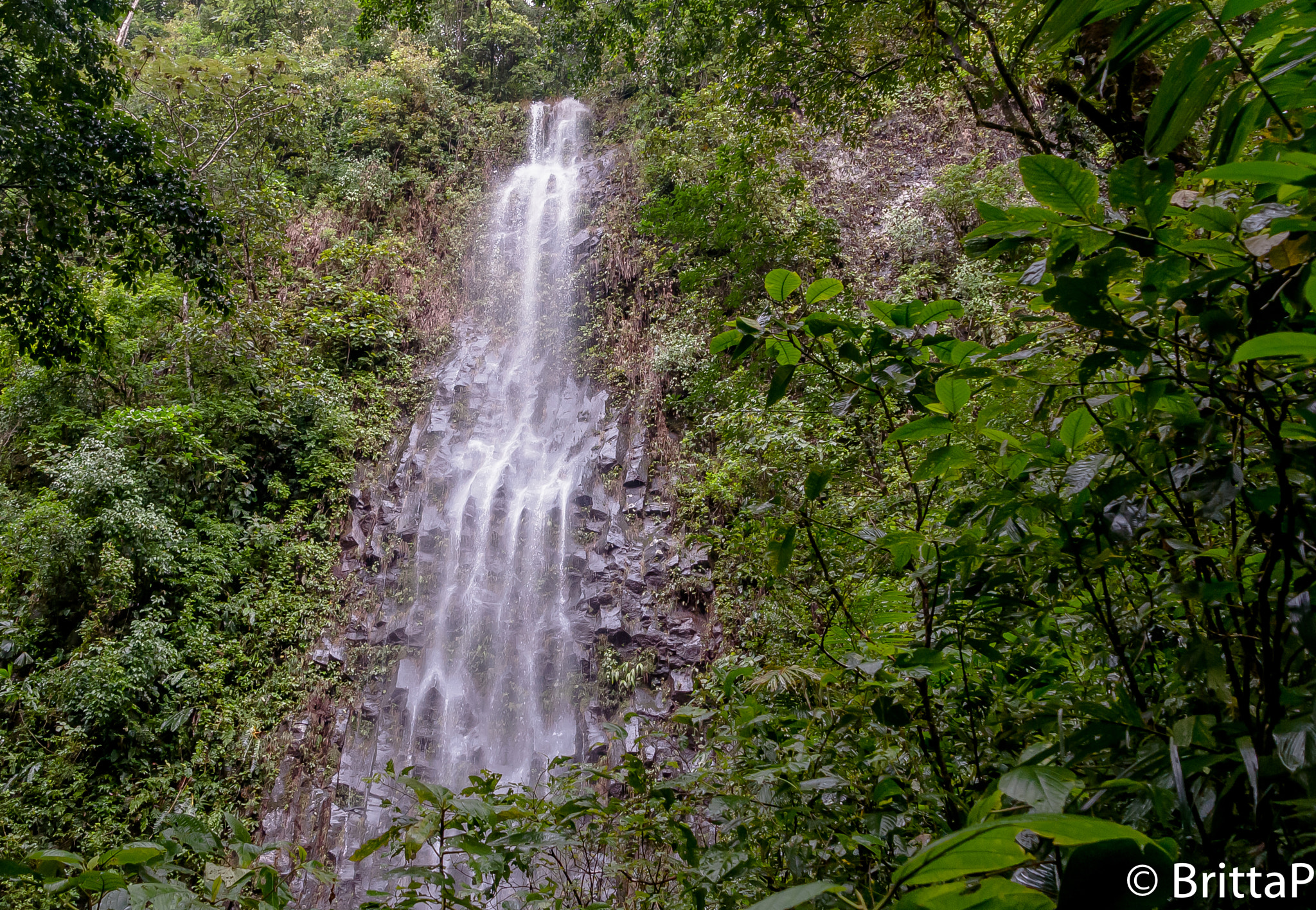 Nikon D300S + Tamron 18-270mm F3.5-6.3 Di II VC PZD sample photo. Waterfall in the jungle photography