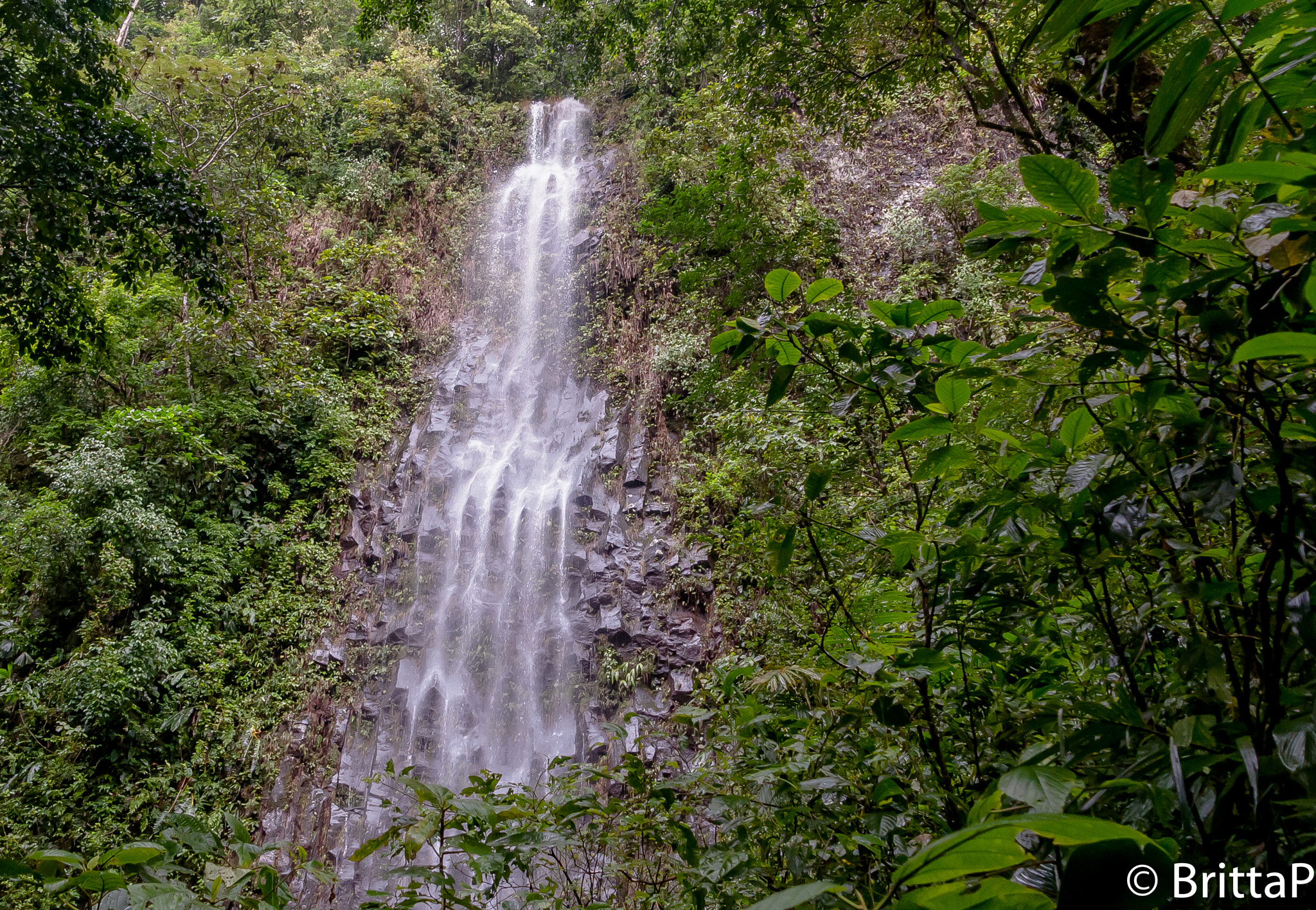 Nikon D300S sample photo. Waterfall in the jungle photography