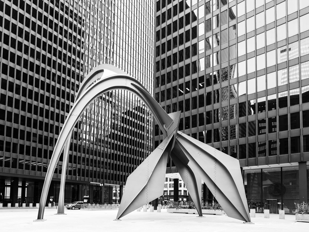 Leica Super-Elmar-M 21mm F3.4 ASPH sample photo. Flamingo photography