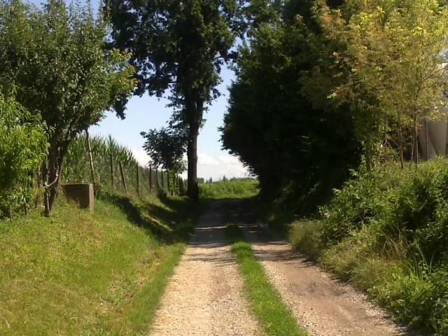Nokia C5-03 sample photo. Sentiero di campagna photography