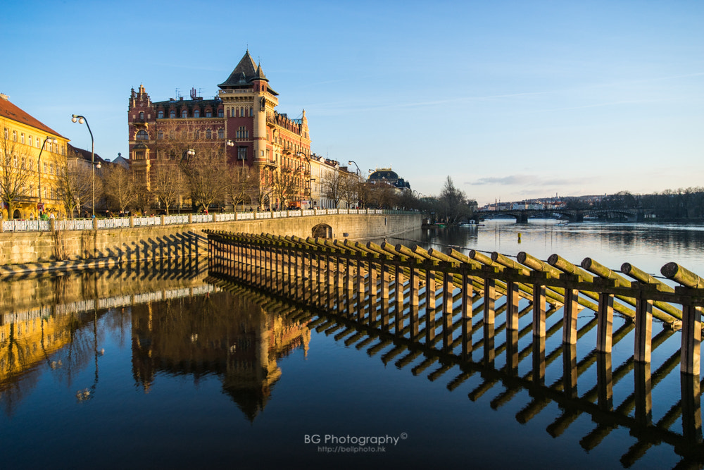 Sony a7 II + Canon EF 85mm F1.2L II USM sample photo. Reflections. photography