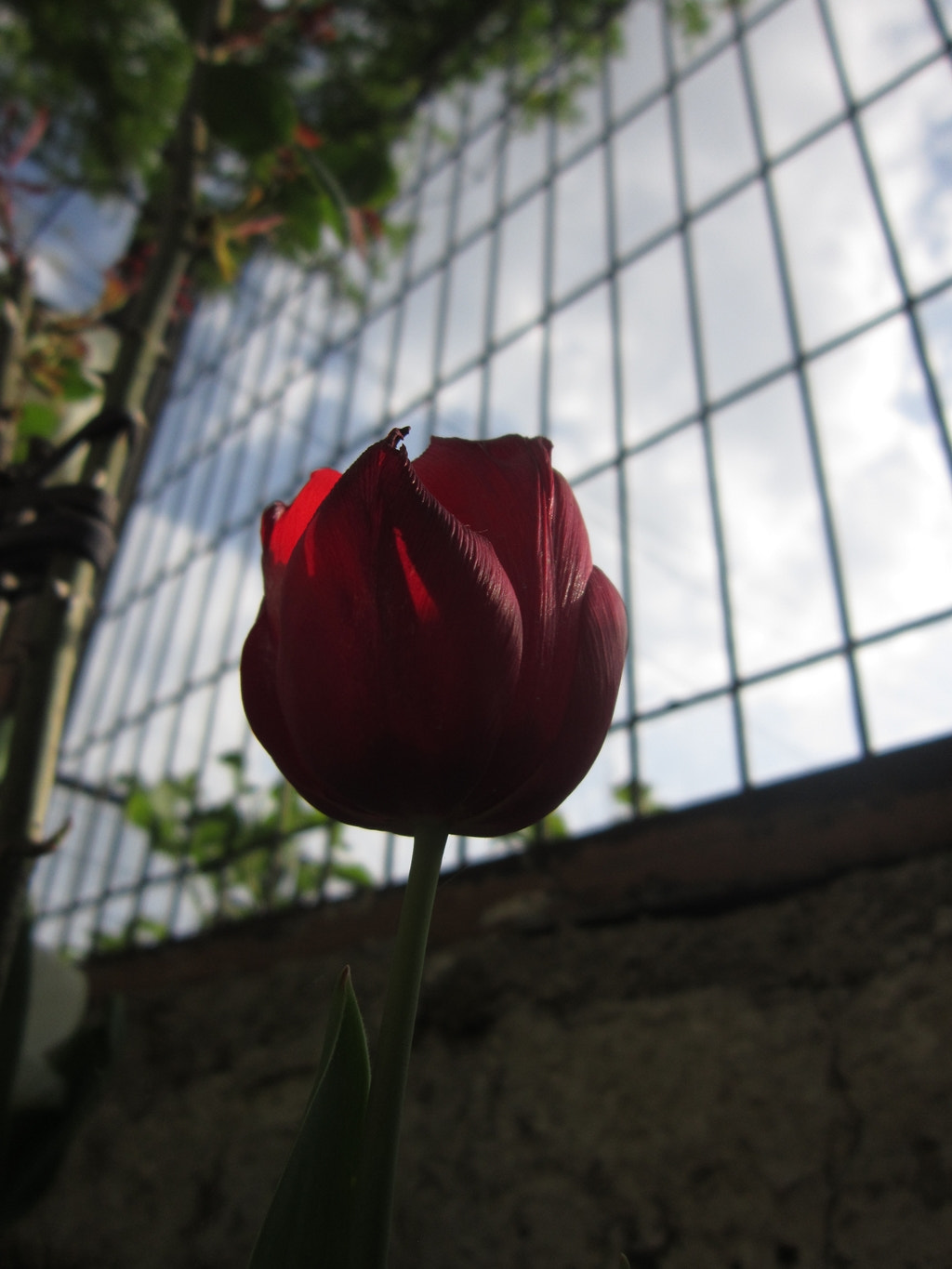 Canon PowerShot A3200 IS sample photo. Img_0623.jpg photography