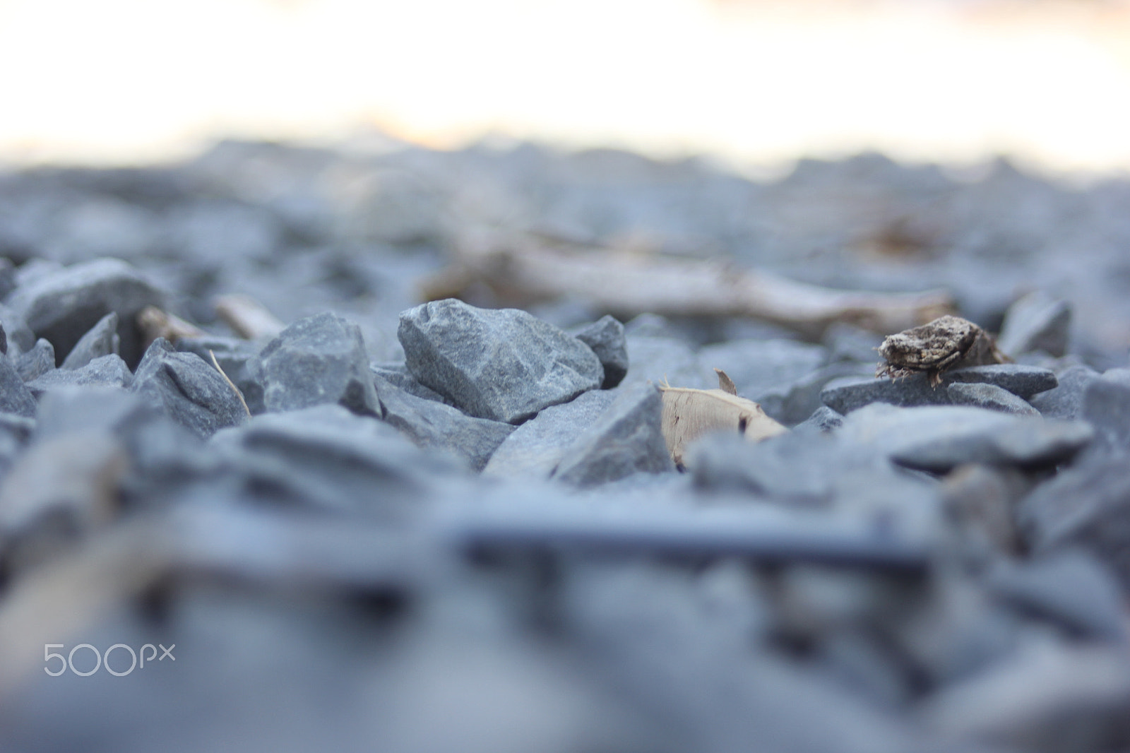 Canon EF 35-80mm f/4-5.6 sample photo. Pedrinhas 2 photography