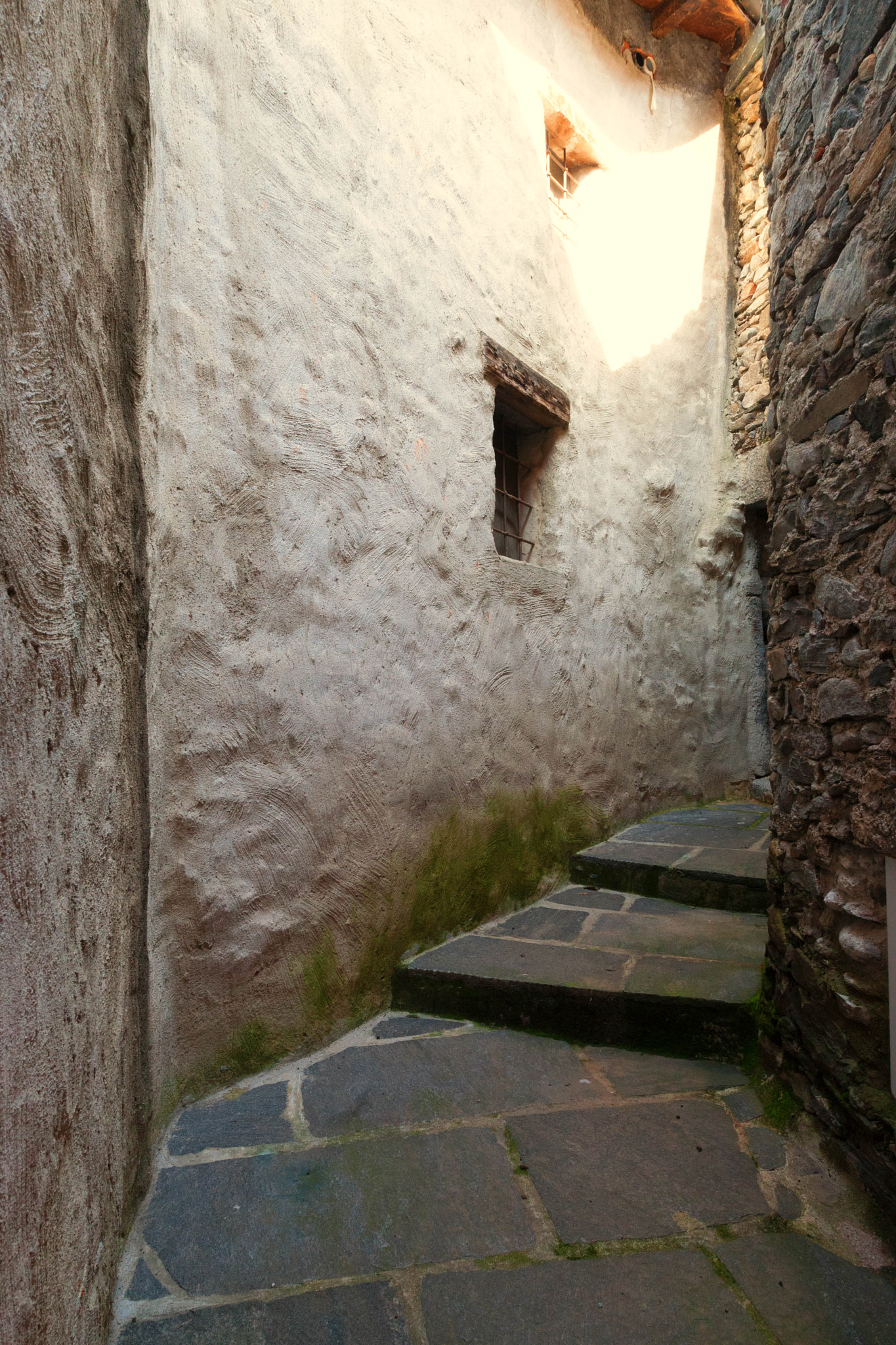 Canon EOS-1D Mark III sample photo. Alley2 ascona photography