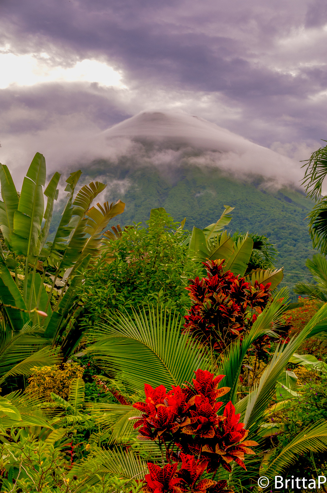 Nikon D300S sample photo. Hiding in the clouds photography