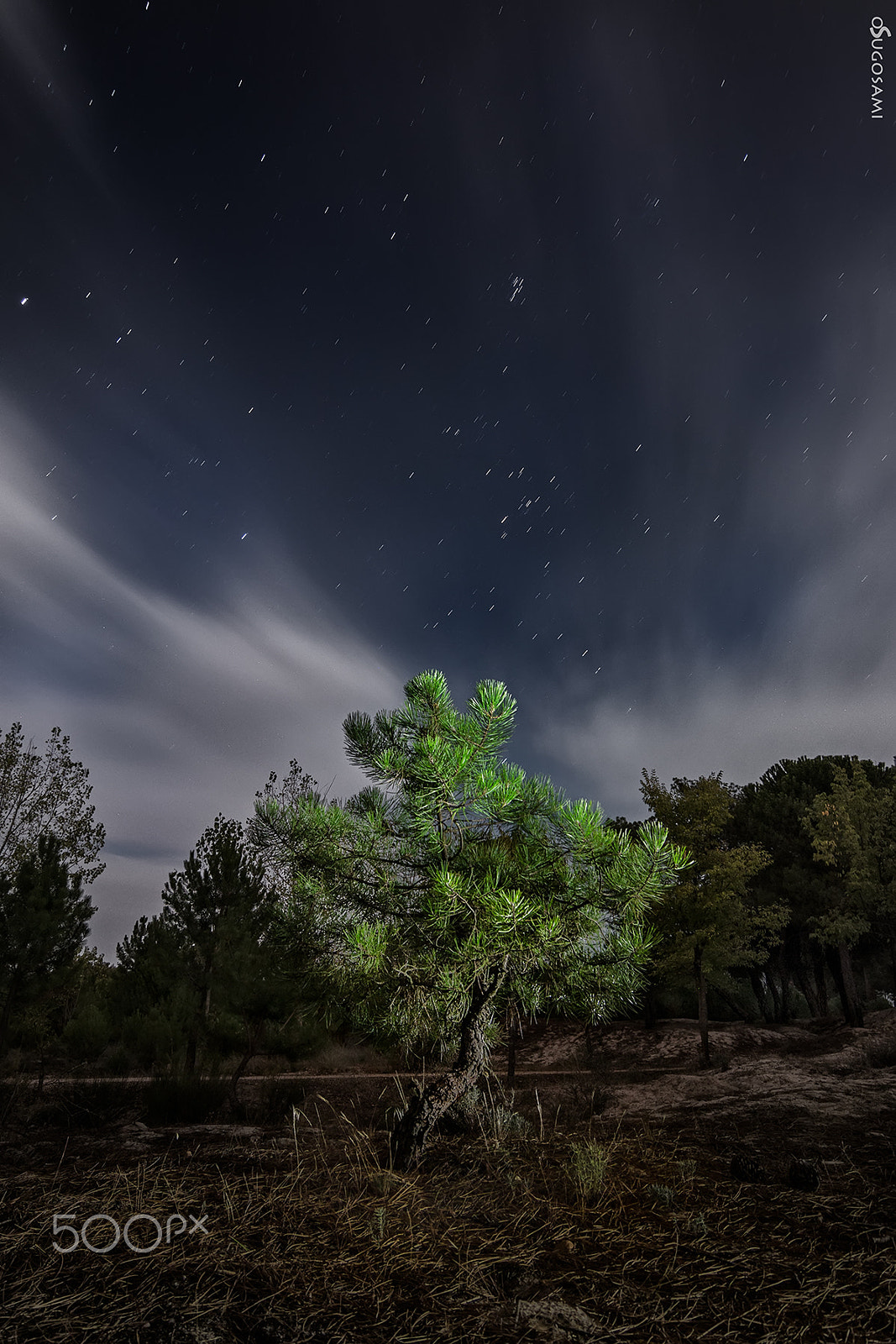 Tokina AT-X Pro 12-24mm F4 (IF) DX sample photo. Pino photography