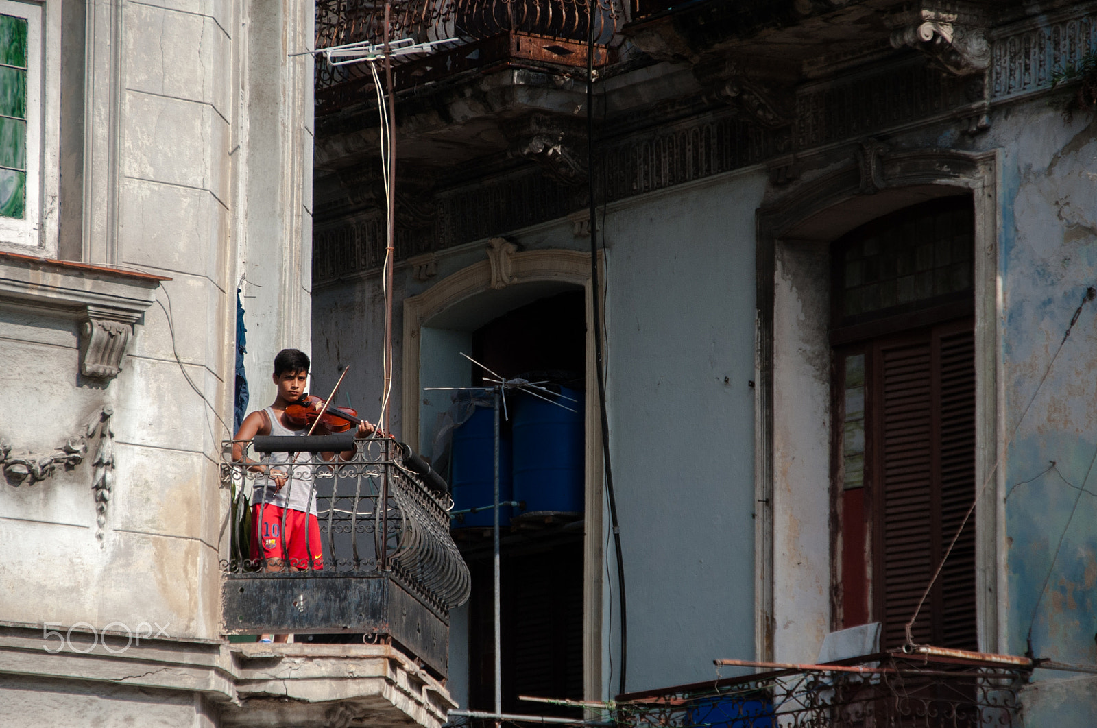 Sigma 18-250mm F3.5-6.3 DC OS HSM sample photo. Violin street. photography