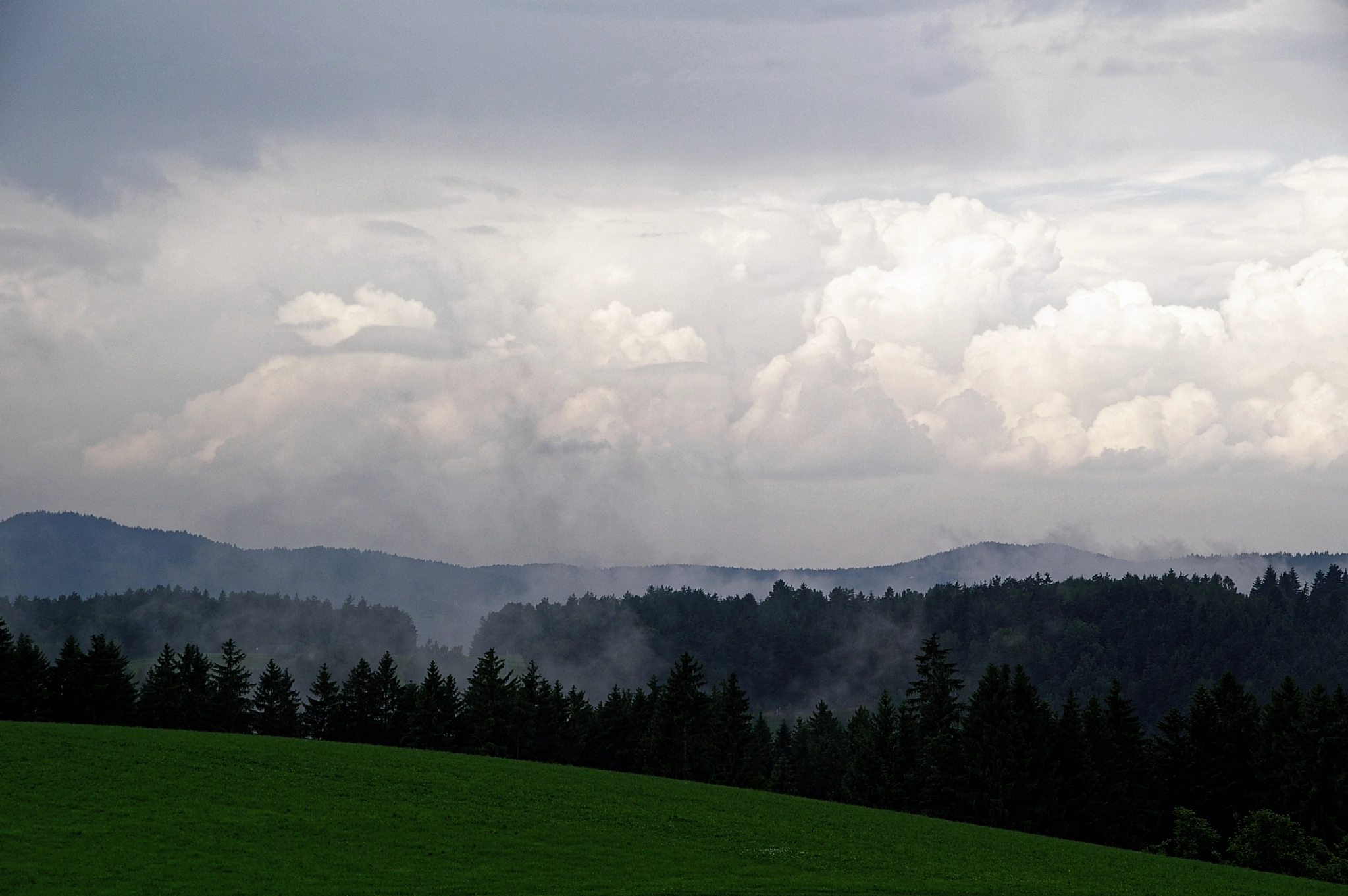 Pentax *ist DS sample photo. Bavarian forest * photography