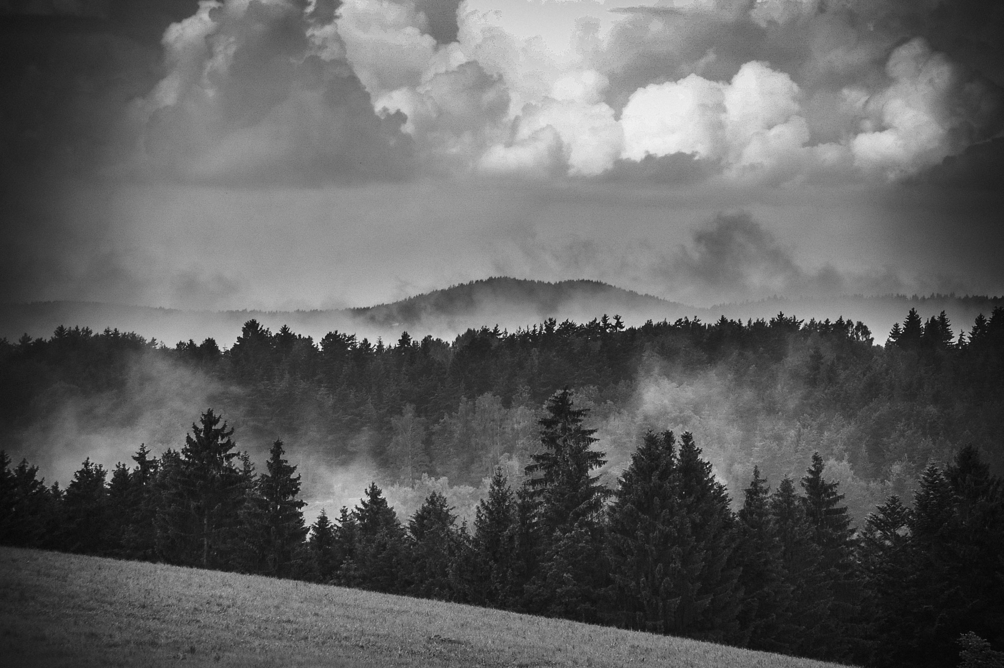 Pentax *ist DS + Sigma sample photo. Bavarian forest ** photography