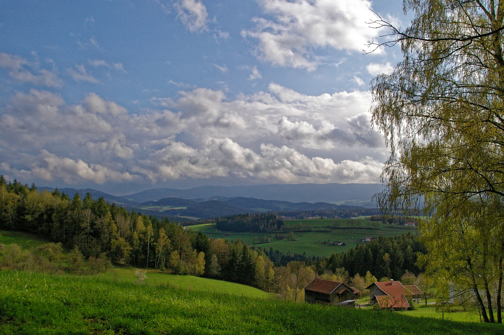 Pentax *ist DS + Sigma Lens (3 255) sample photo. Bavarian forest *** photography