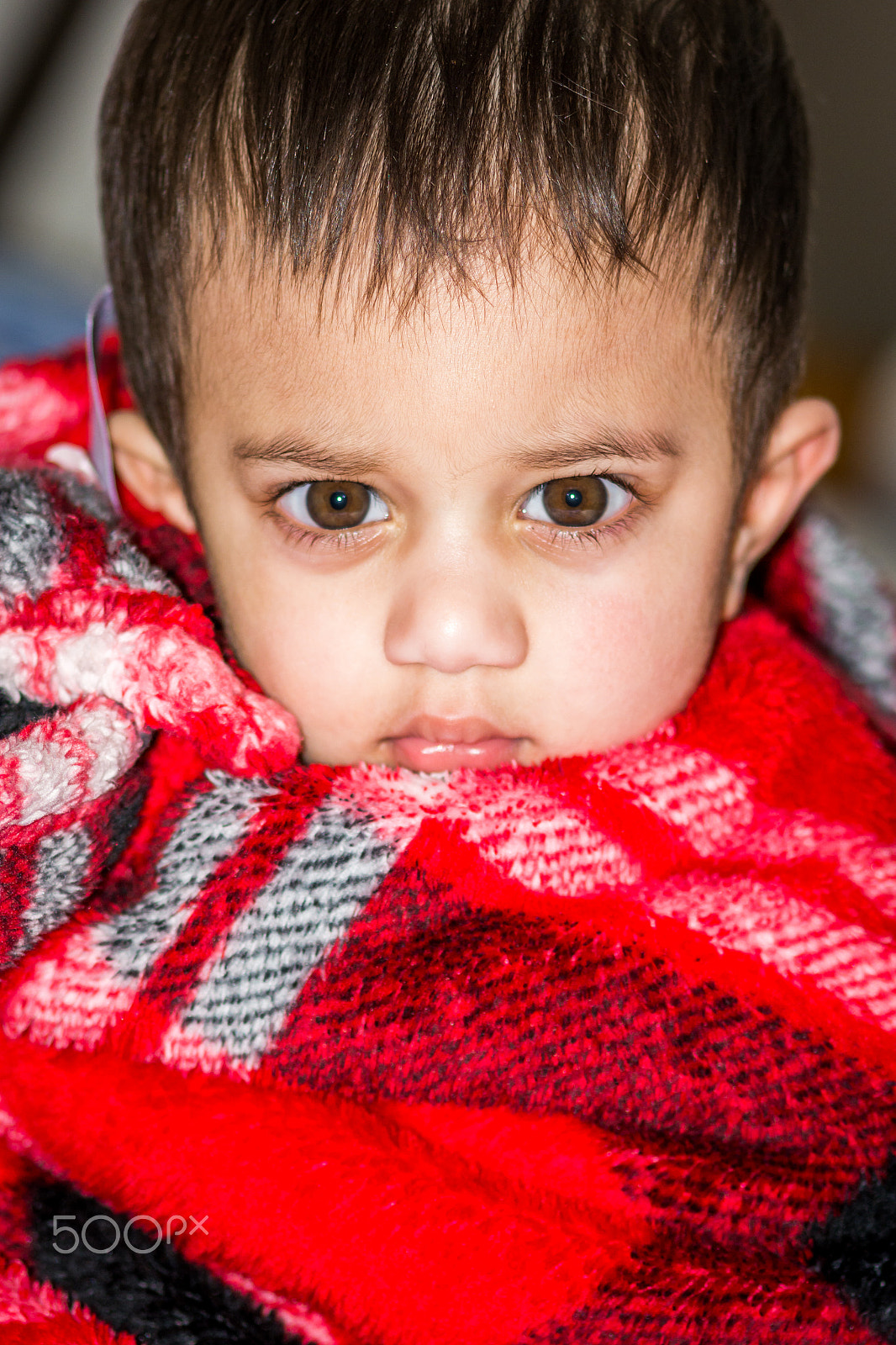 Nikon D7100 + Sigma 105mm F2.8 EX DG Macro sample photo. Angry young man... photography