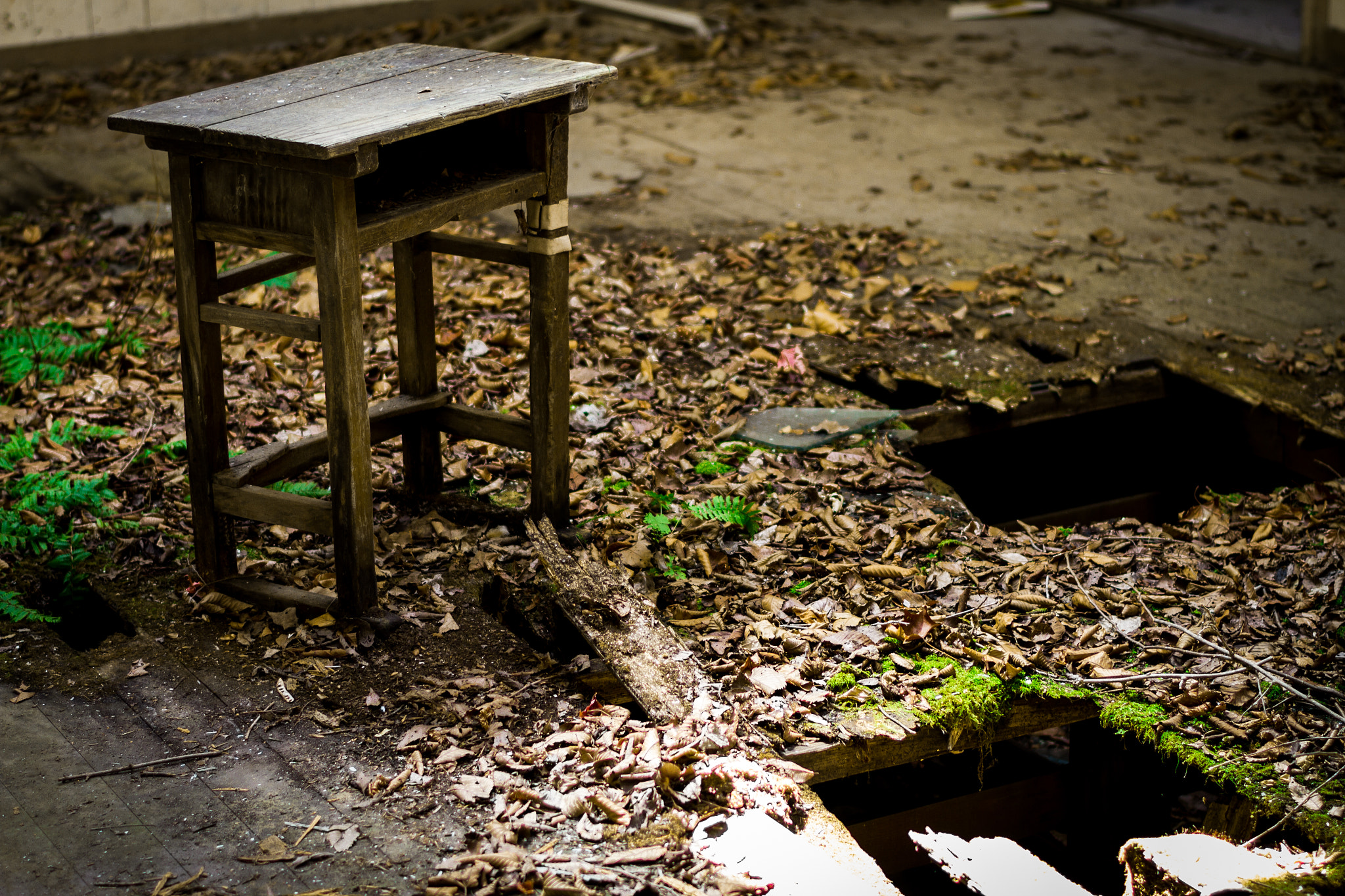 ZEISS Planar T* 50mm F1.4 sample photo. Ruins_06 photography