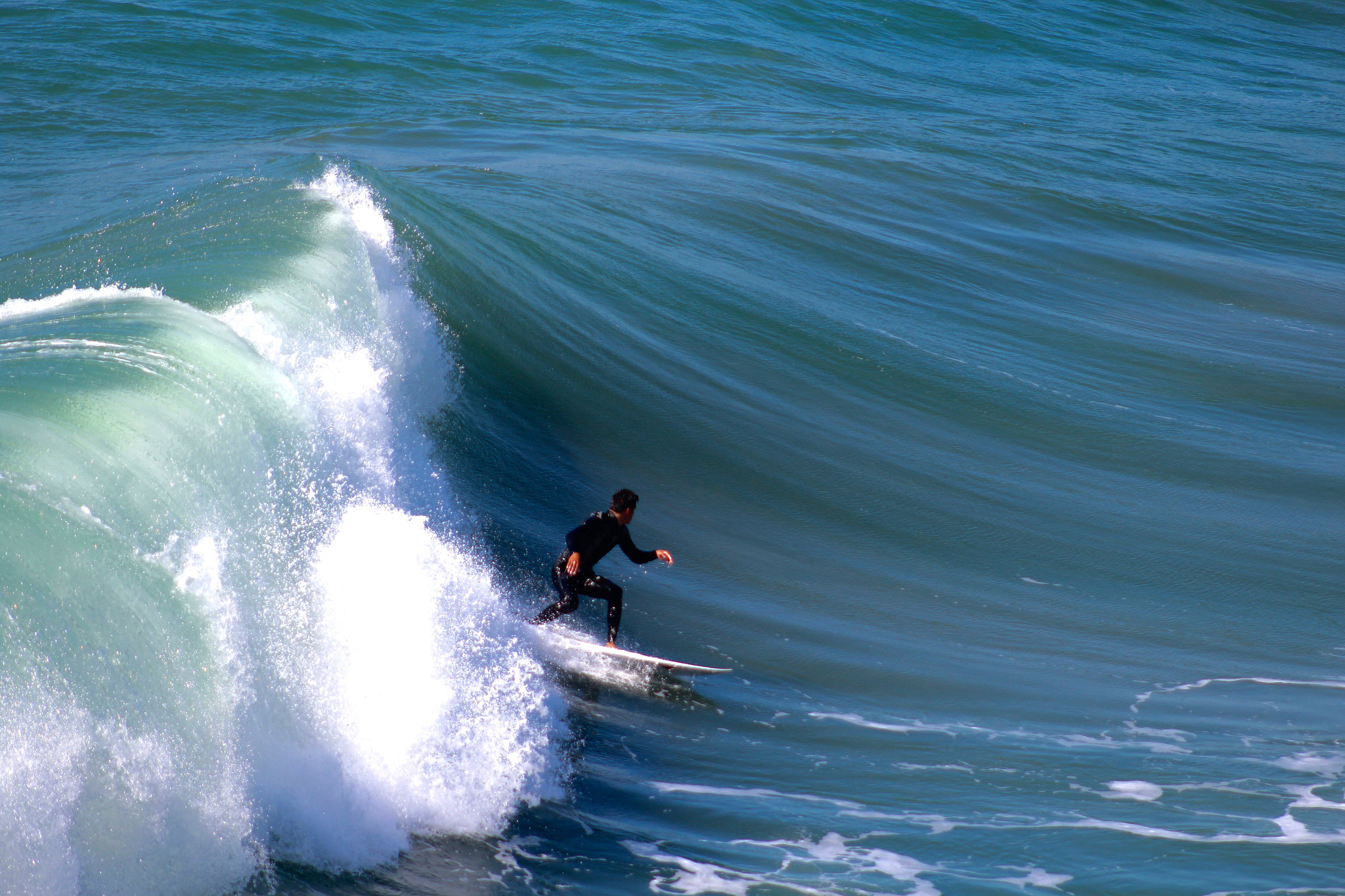 Canon EF75-300mm f/4-5.6 sample photo. Going left... photography
