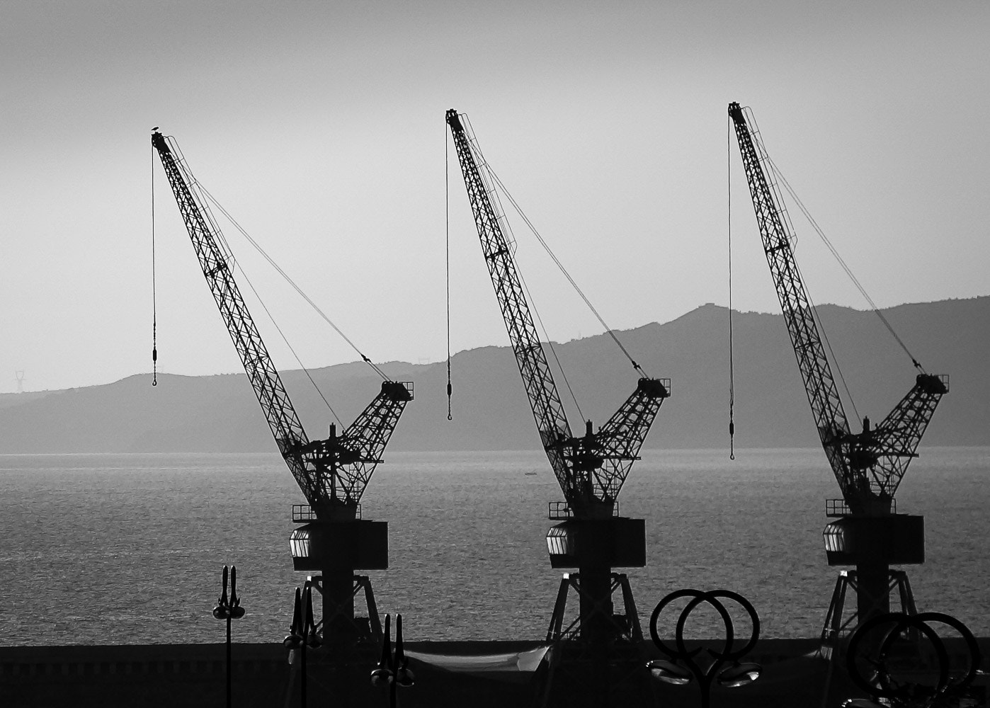 Sony Alpha NEX-6 + Sony E 18-200mm F3.5-6.3 OSS LE sample photo. Grue port marseille photography