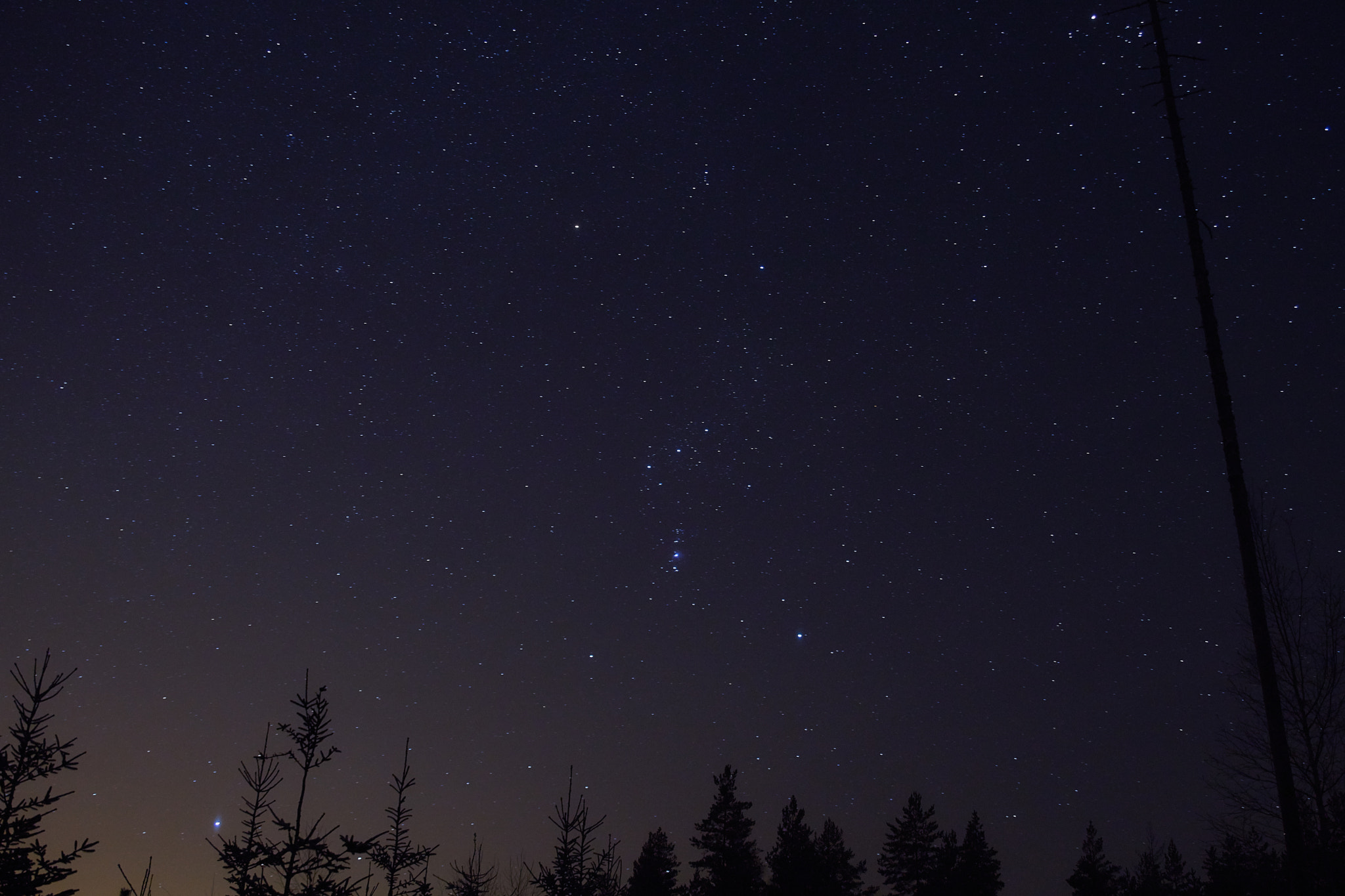 Sony ILCA-77M2 + 24-70mm F2.8 sample photo. Orion's constellation photography