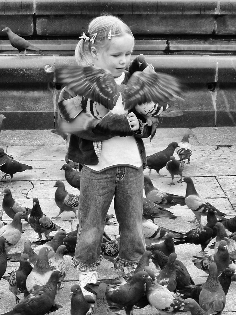 Canon POWERSHOT S40 sample photo. Young girl feeding pigeons photography