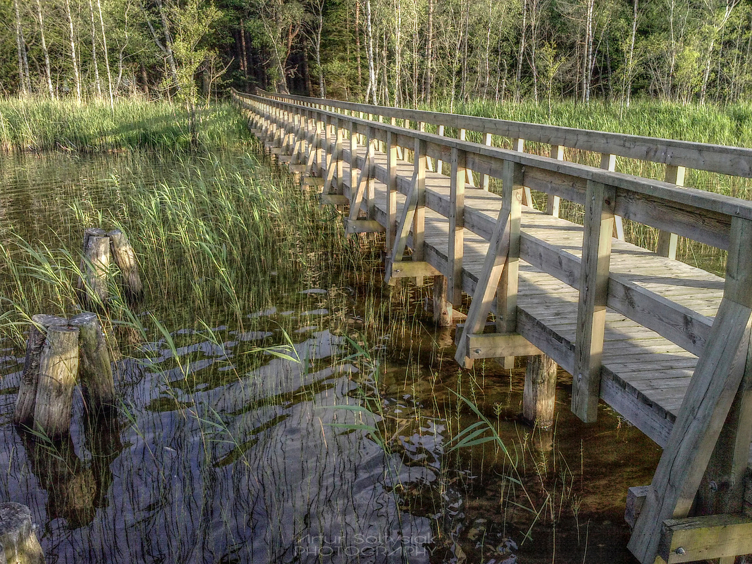 LG P760 sample photo. Dolgie lake photography