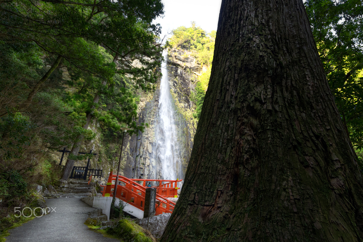 Sigma 10-20mm F3.5 EX DC HSM sample photo. 那智の滝 nachi falls photography