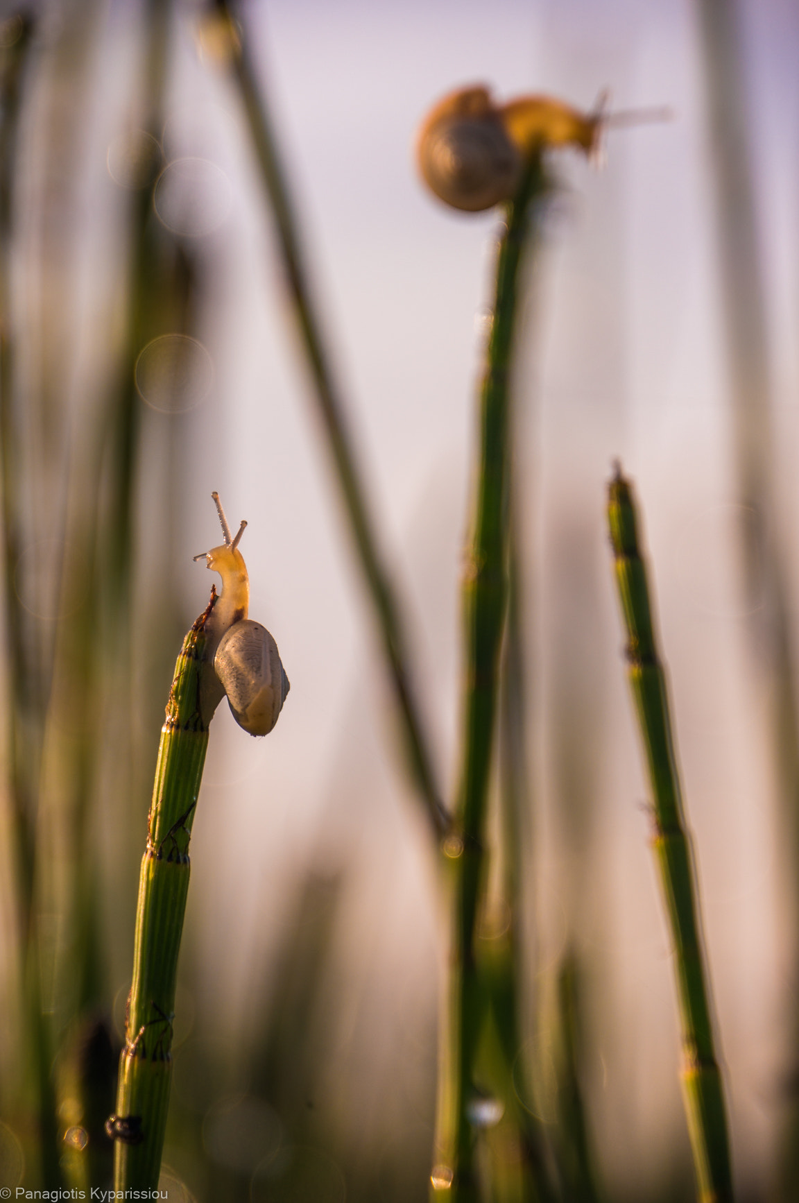 Sony E 18-200mm F3.5-6.3 OSS LE sample photo. Reaching the top photography