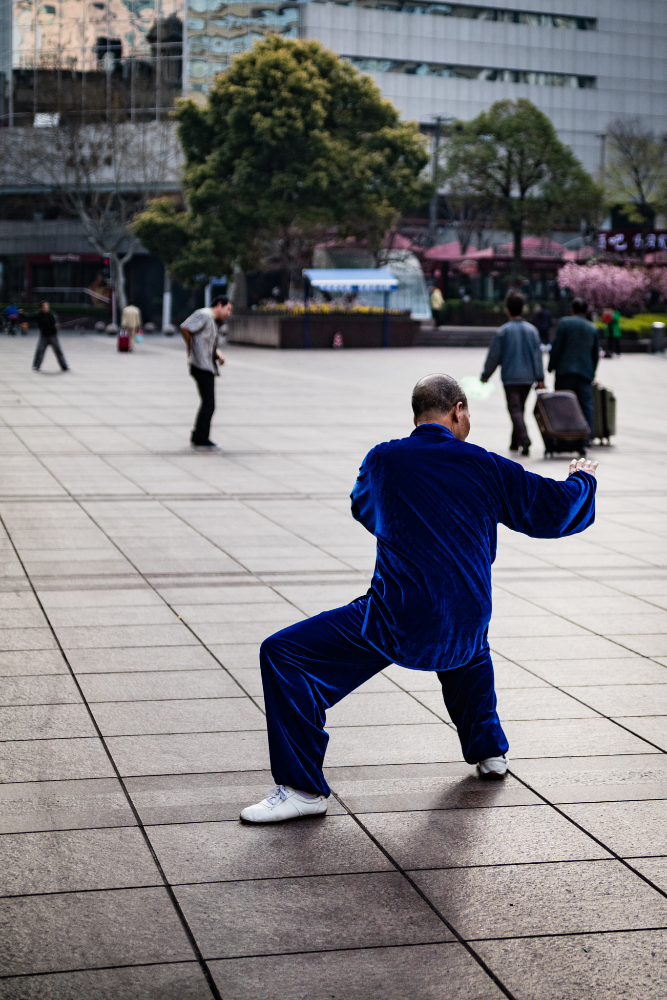 Canon EOS 5DS + Tamron AF 28-75mm F2.8 XR Di LD Aspherical (IF) sample photo. Chinese man training tai chi photography