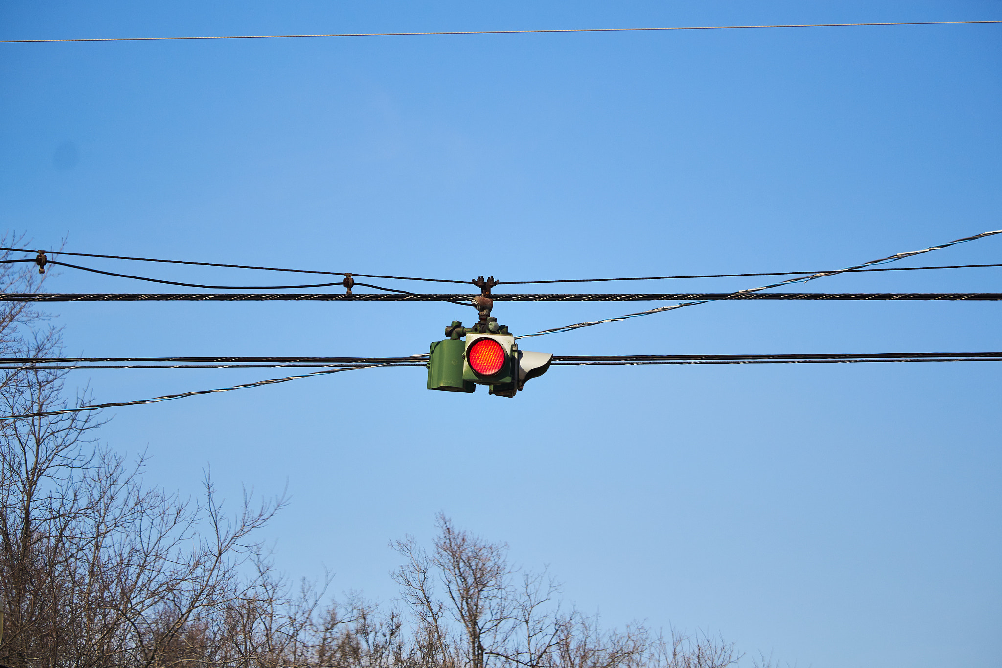 Canon EF-S 55-250mm F4-5.6 IS STM sample photo. On a wire photography