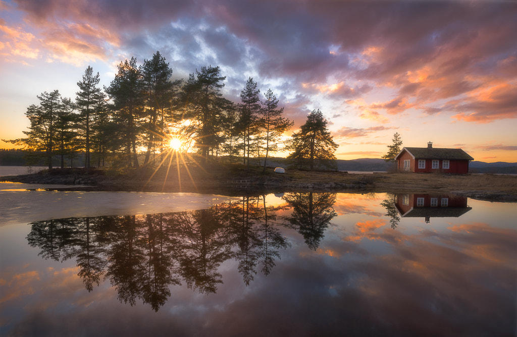 Sony a7R + Canon EF 16-35mm F4L IS USM sample photo. Star struck photography