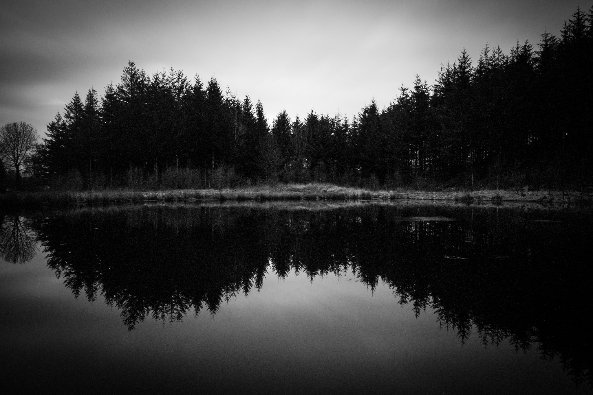 Canon EF-S 10-18mm F4.5–5.6 IS STM sample photo. Reflection forest photography