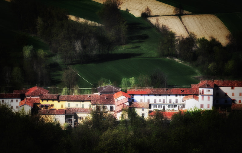 Olympus OM-D E-M10 II + Olympus M.Zuiko Digital ED 40-150mm F2.8 Pro sample photo. Piedmont spring 2 photography