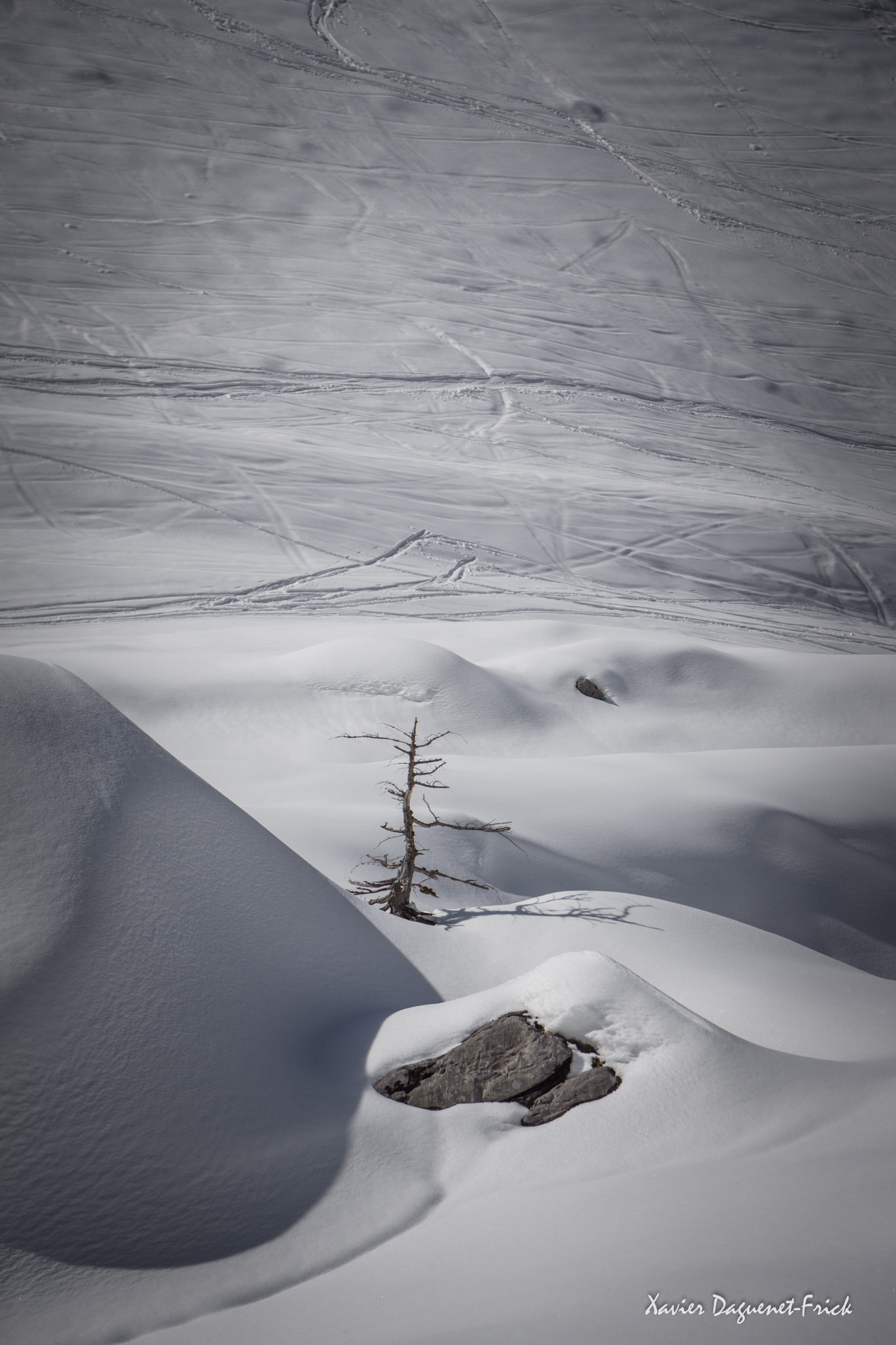 Sony Alpha NEX-7 + Sony Vario-Tessar T* E 16-70mm F4 ZA OSS sample photo. Lonely tree photography