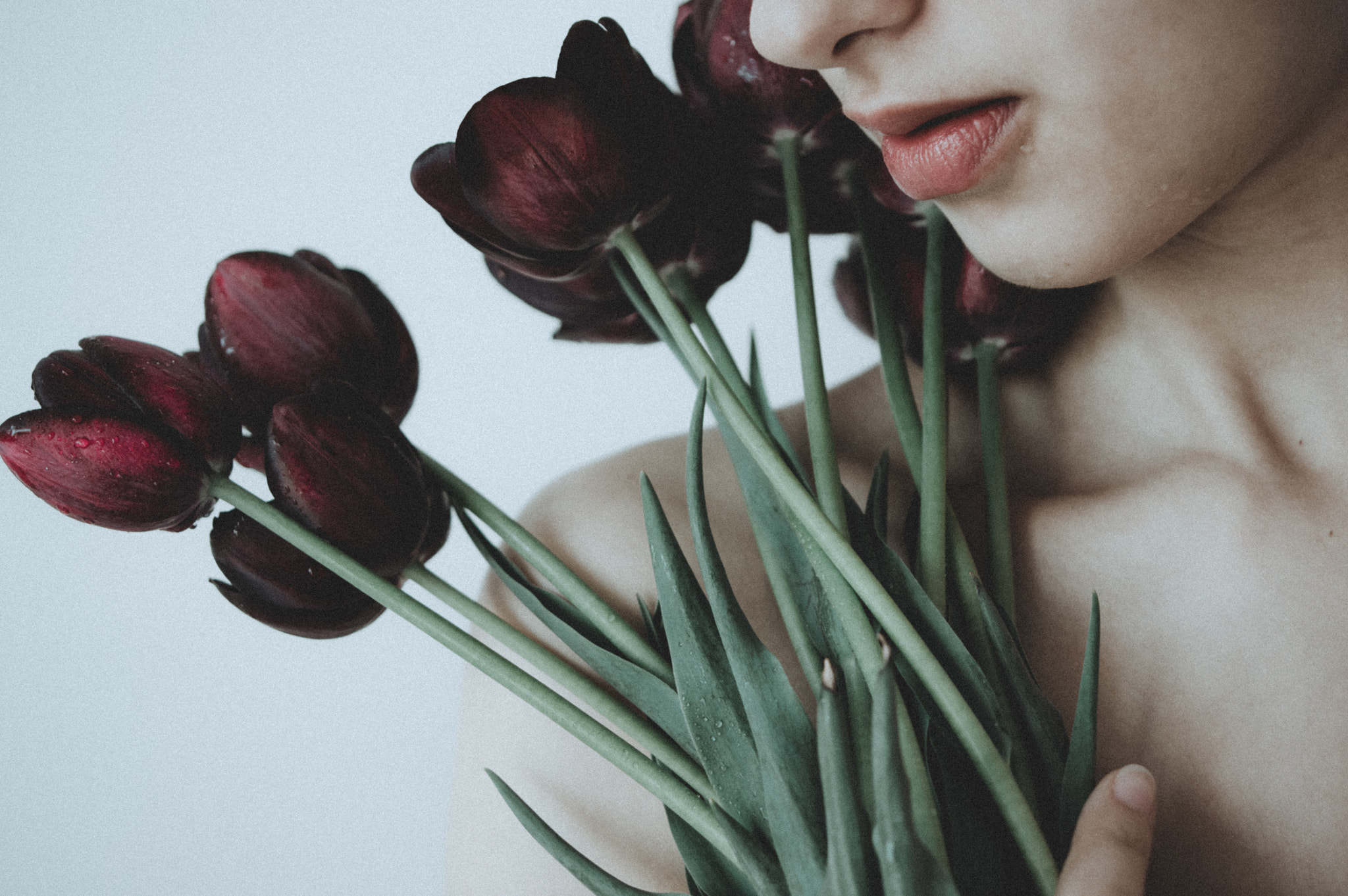 Pentax K-3 sample photo. Black tulips photography