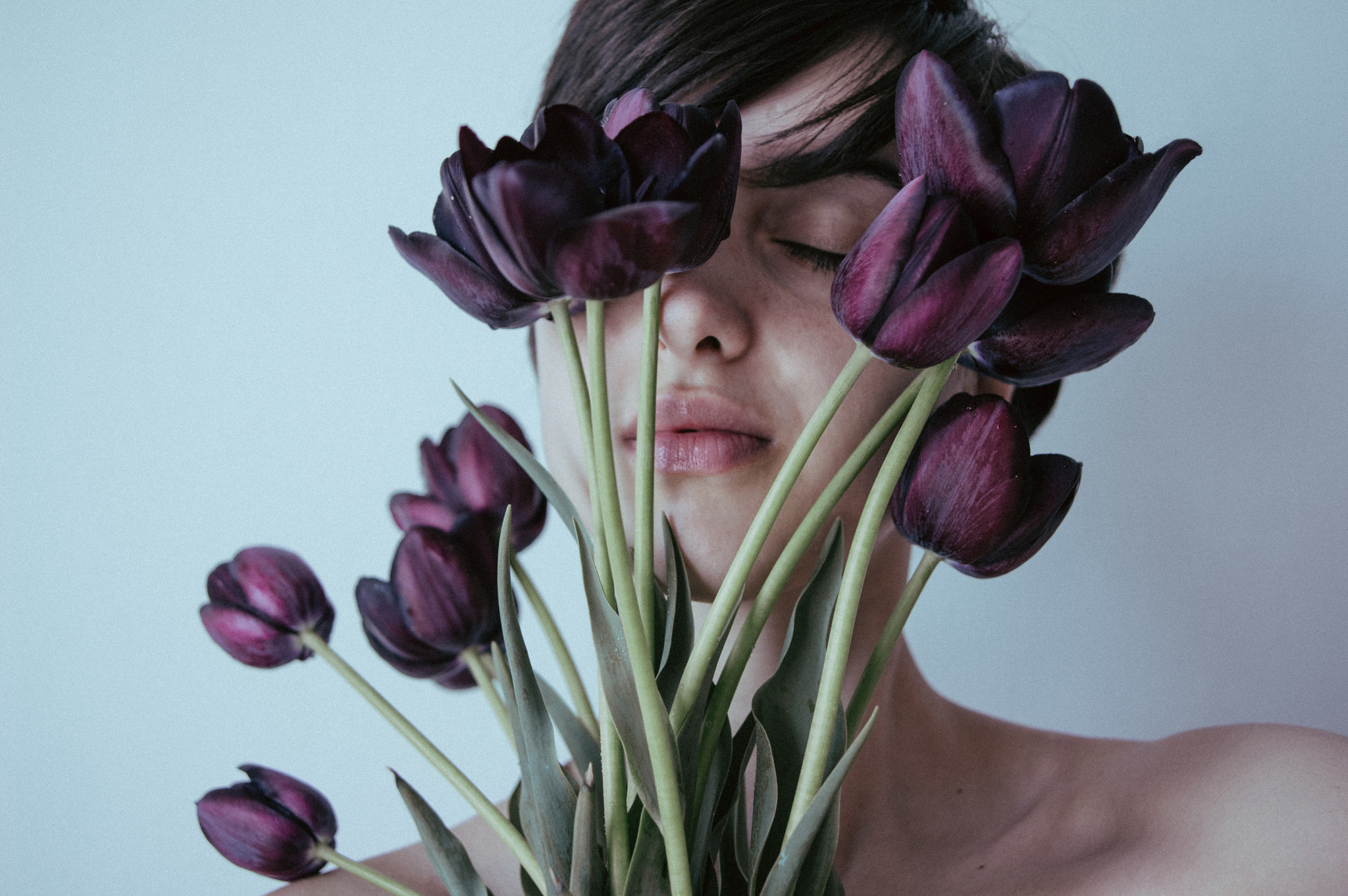 Pentax K-3 sample photo. Black tulips photography