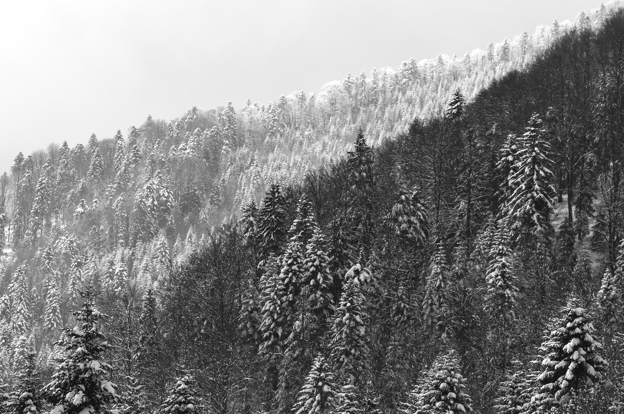 Canon EF 100-300mm F4.5-5.6 USM sample photo. Waves of grey photography